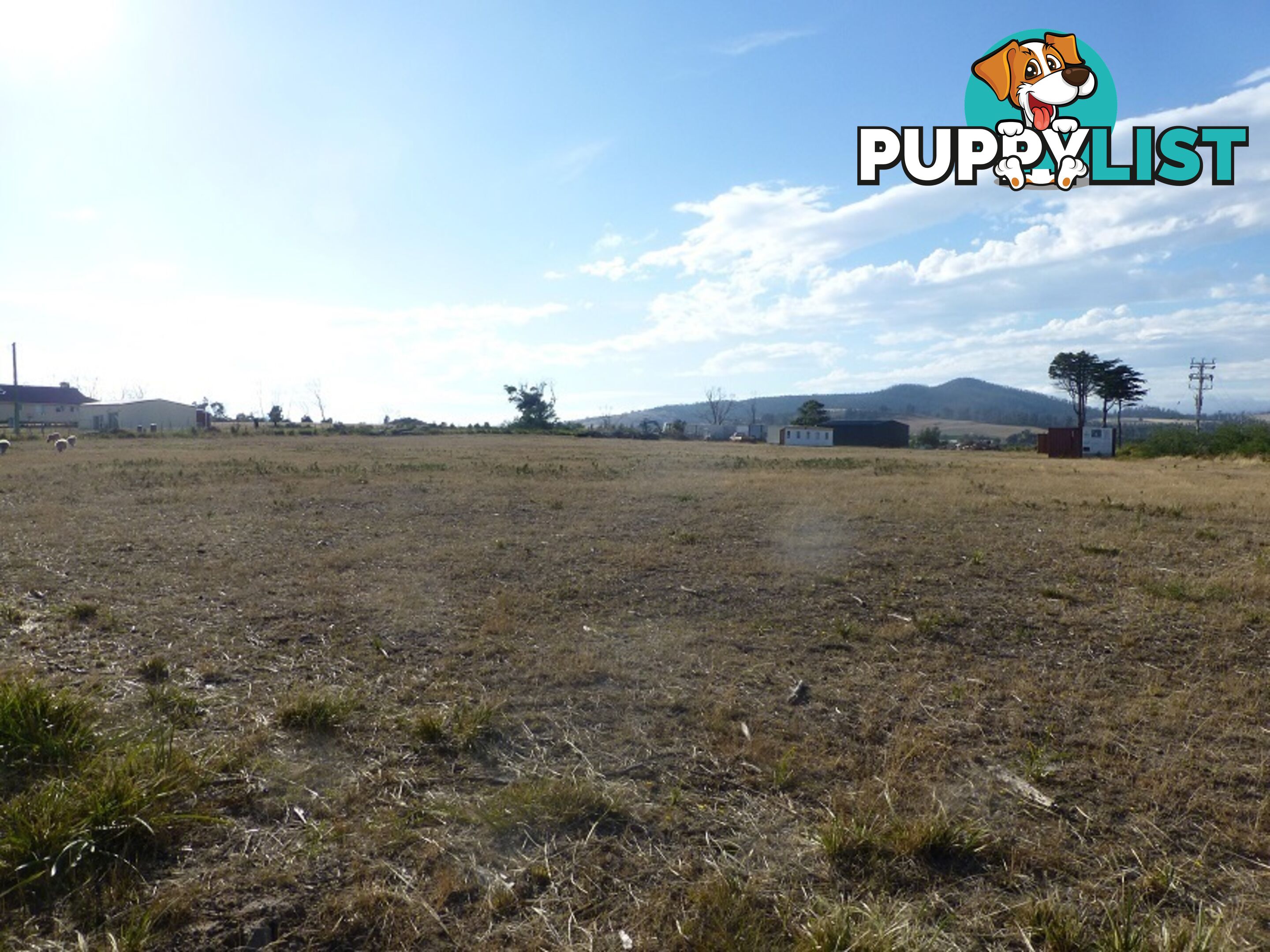 209-221 Arthur Highway DUNALLEY TAS 7177