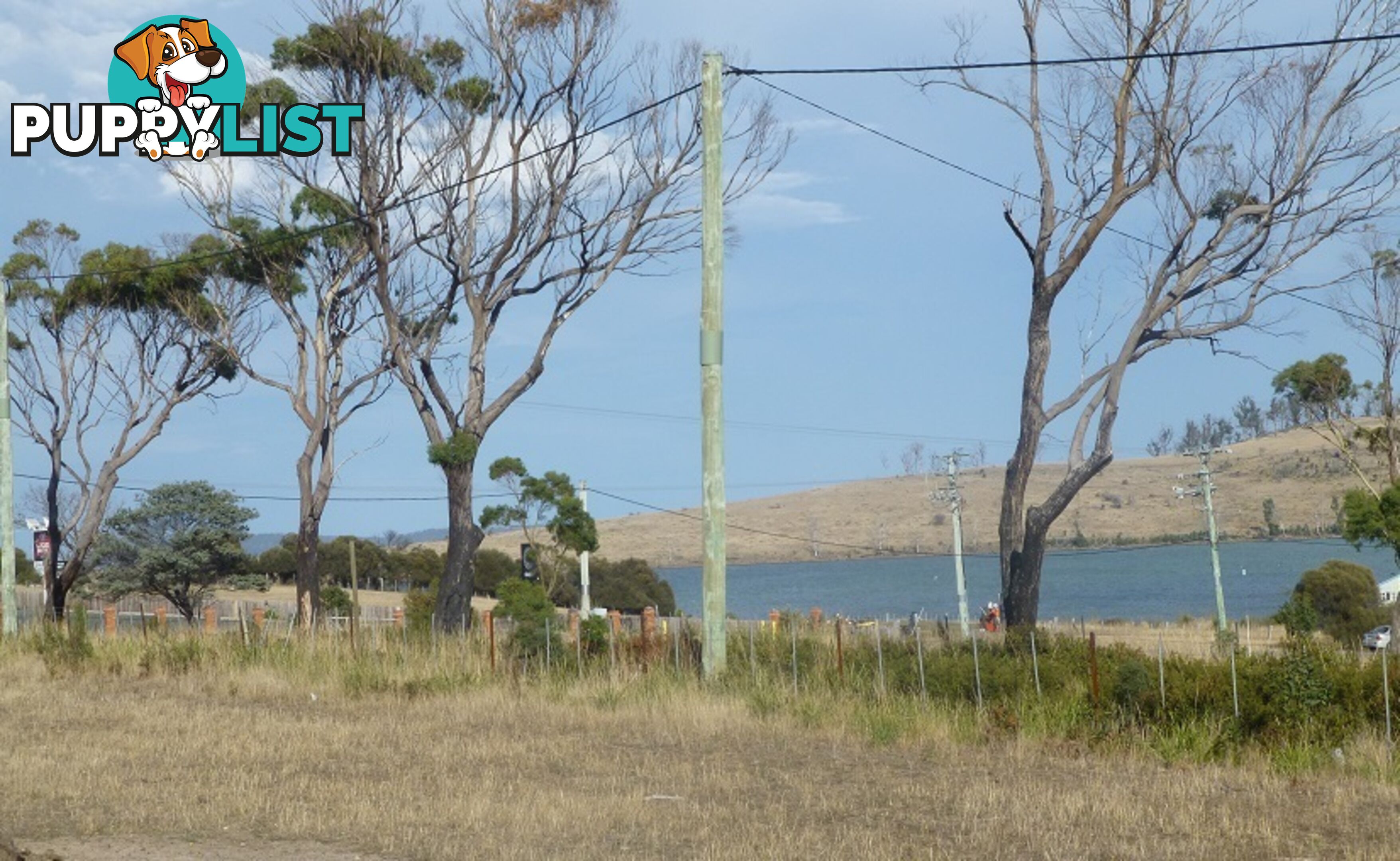 209-221 Arthur Highway DUNALLEY TAS 7177