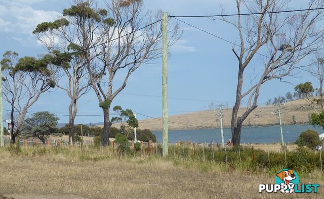 209-221 Arthur Highway DUNALLEY TAS 7177