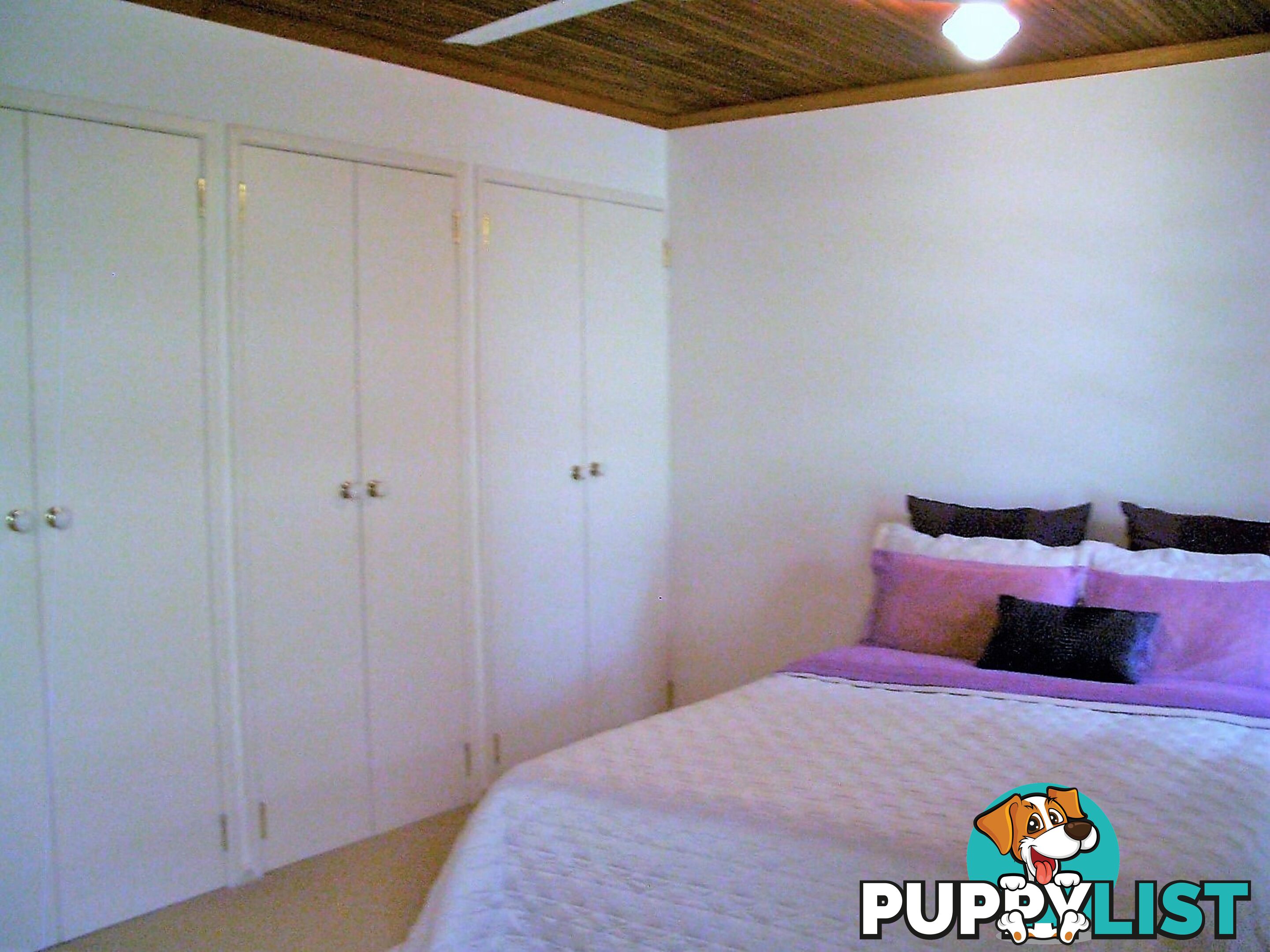 15 Brent Street DOUGLAS QLD 4814