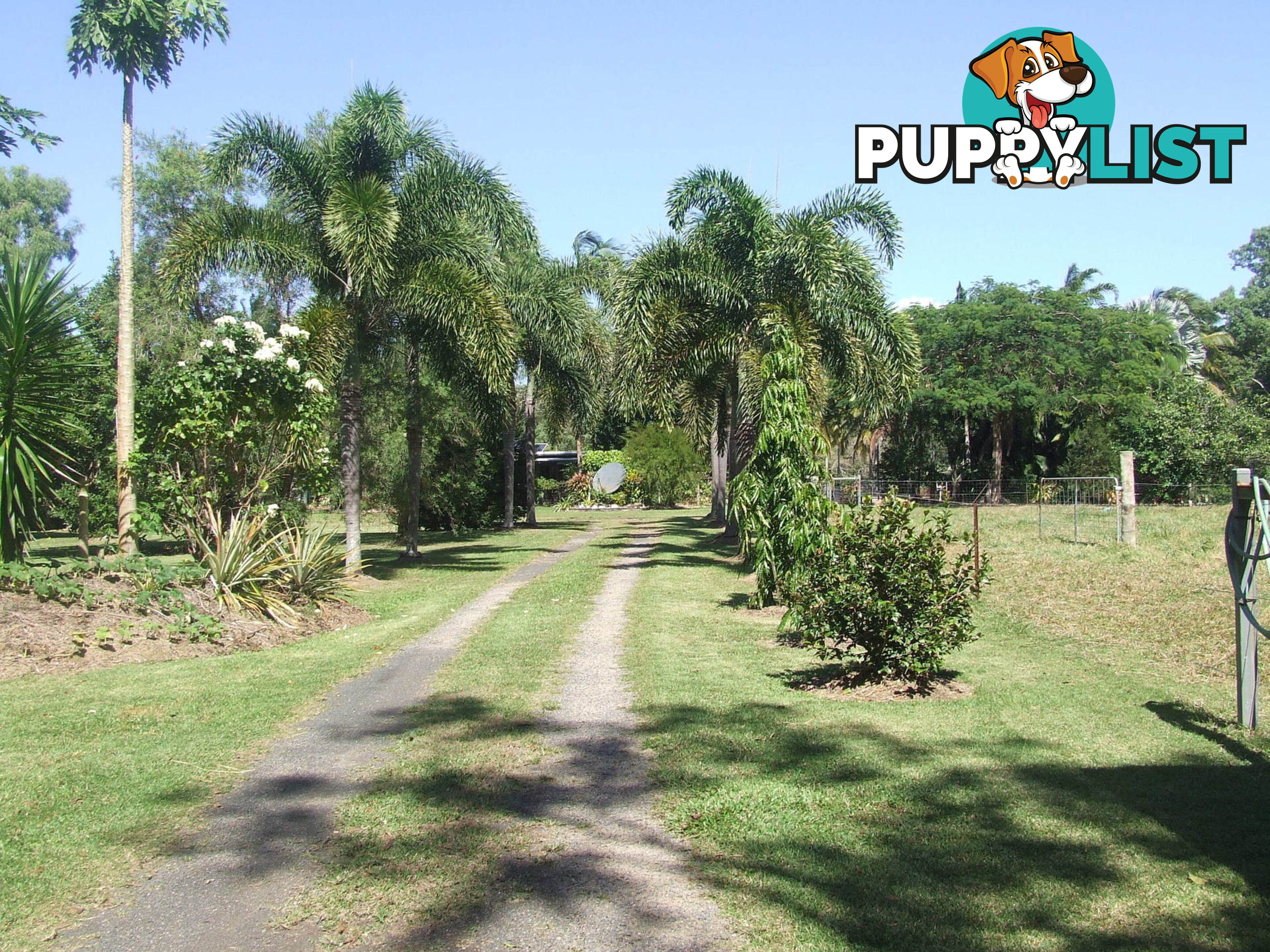 1991 Endeavour Valley Road COOKTOWN QLD 4895