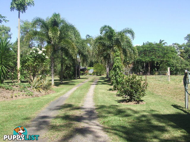 1991 Endeavour Valley Road COOKTOWN QLD 4895