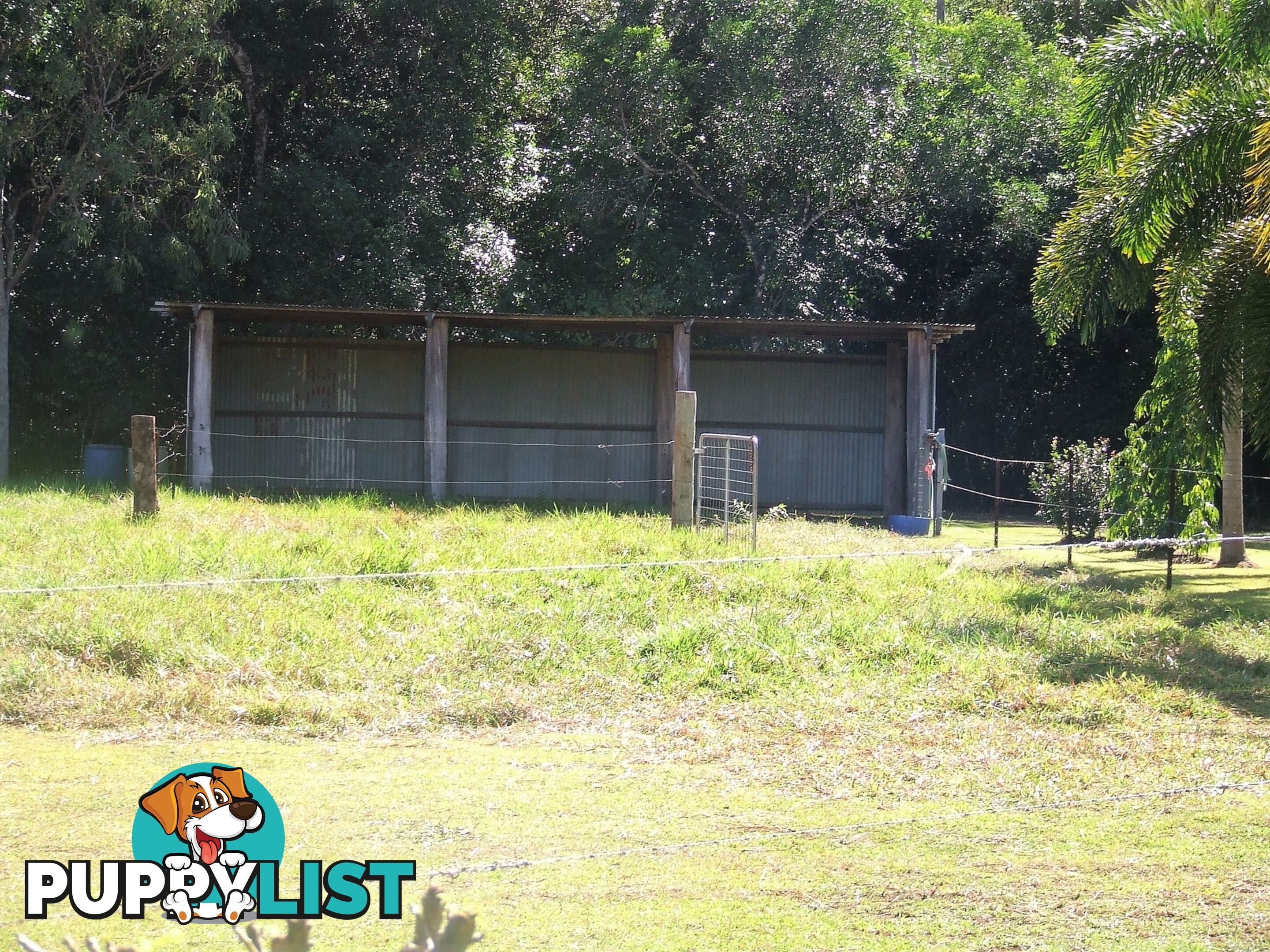 1991 Endeavour Valley Road COOKTOWN QLD 4895