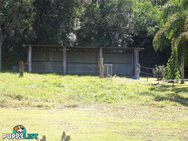 1991 Endeavour Valley Road COOKTOWN QLD 4895