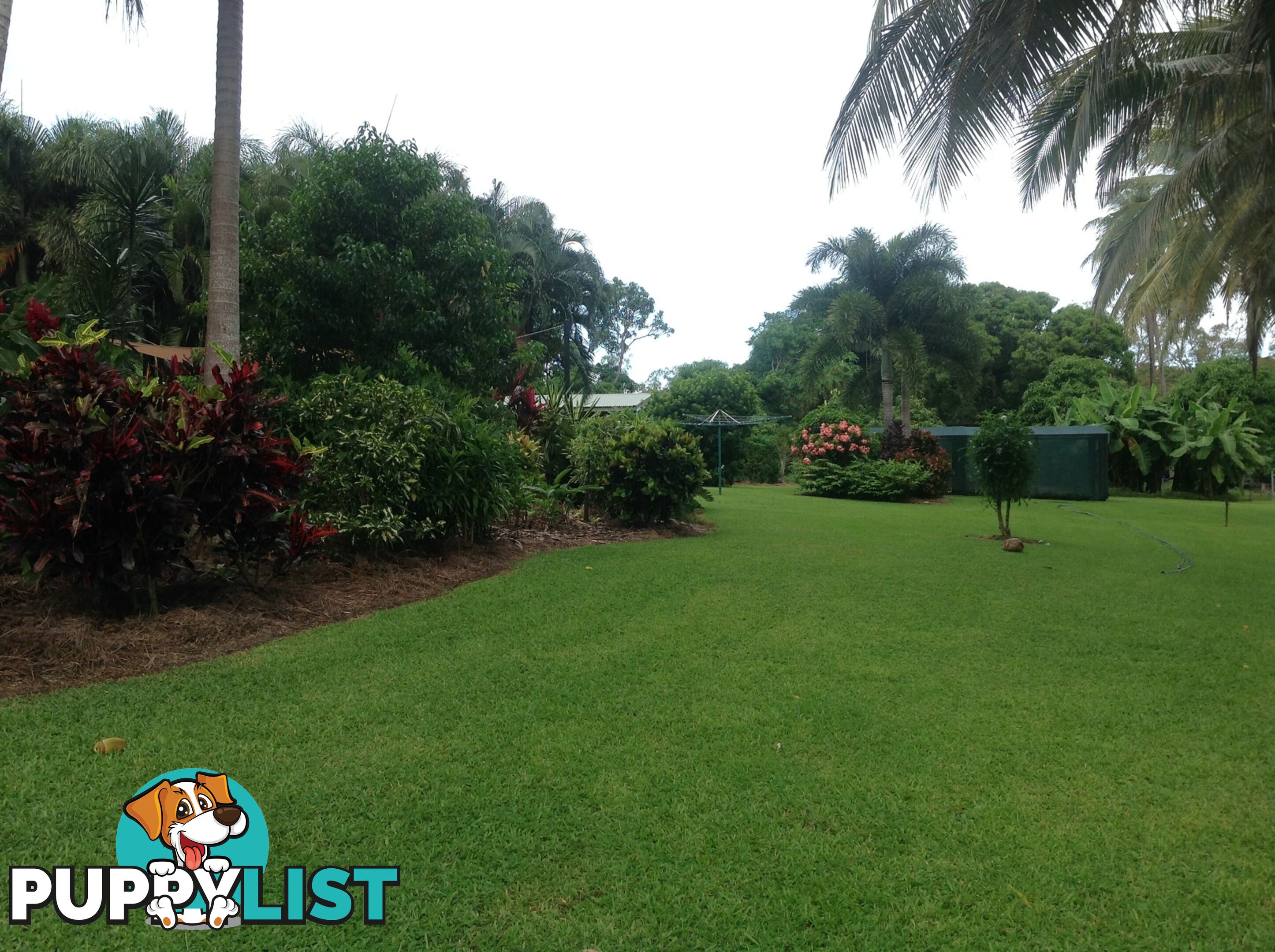 1991 Endeavour Valley Road COOKTOWN QLD 4895