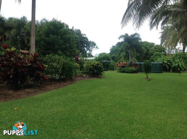 1991 Endeavour Valley Road COOKTOWN QLD 4895