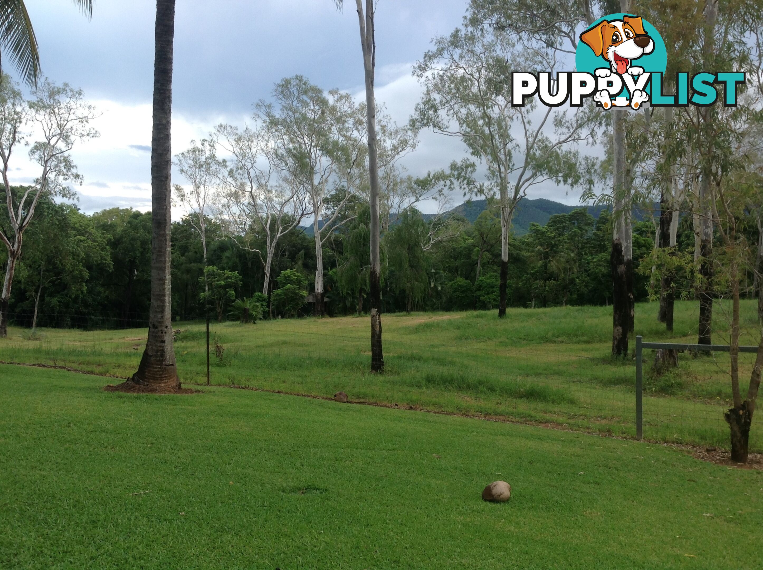 1991 Endeavour Valley Road COOKTOWN QLD 4895