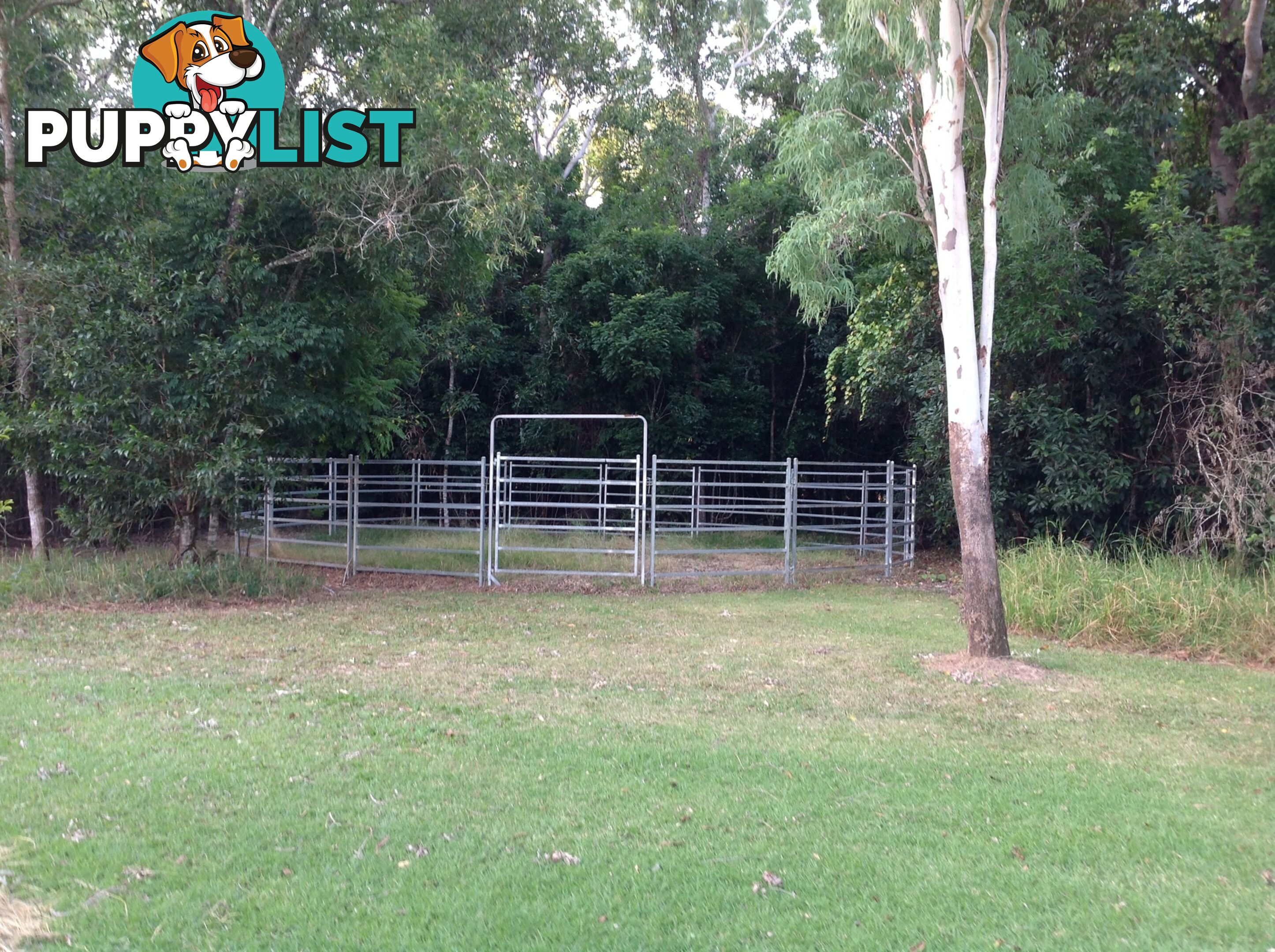 1991 Endeavour Valley Road COOKTOWN QLD 4895