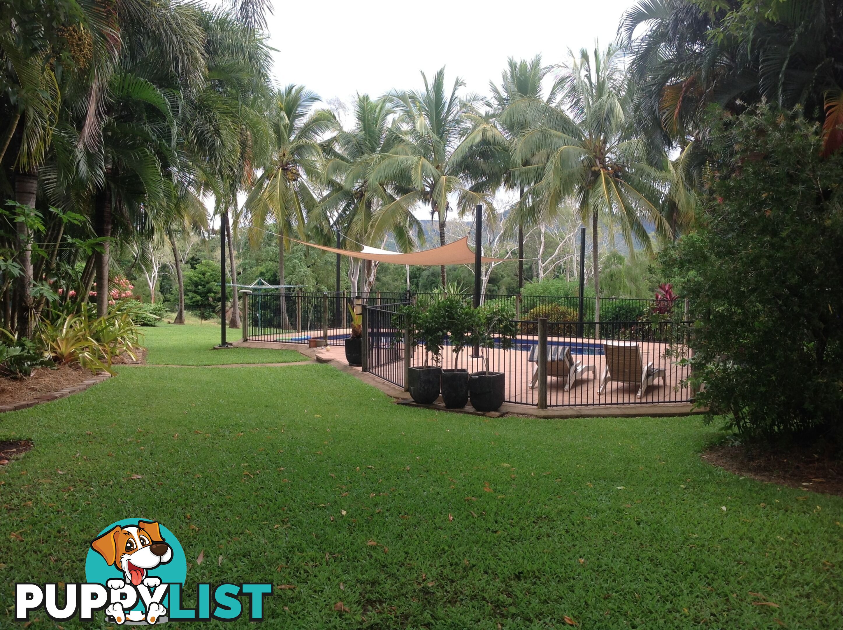 1991 Endeavour Valley Road COOKTOWN QLD 4895