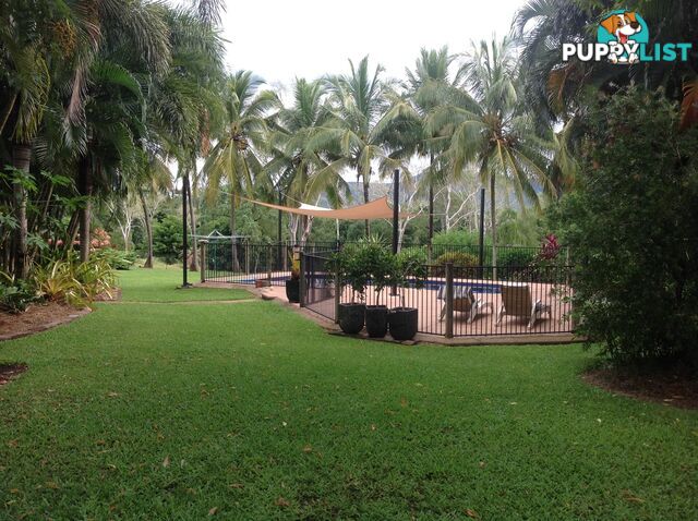 1991 Endeavour Valley Road COOKTOWN QLD 4895