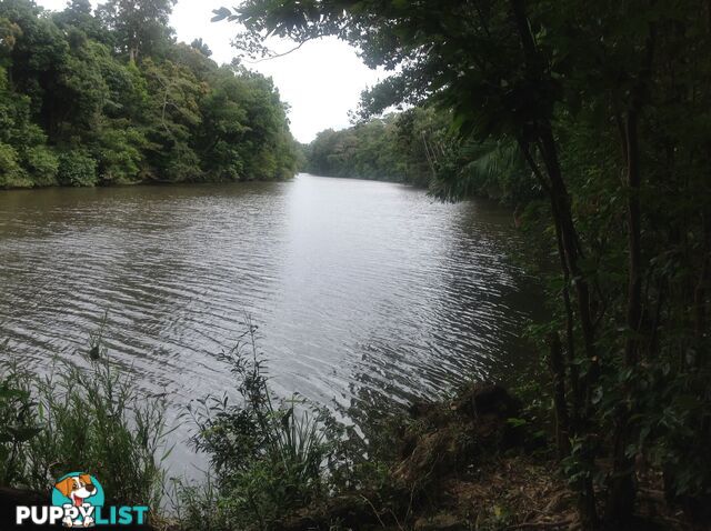 1991 Endeavour Valley Road COOKTOWN QLD 4895