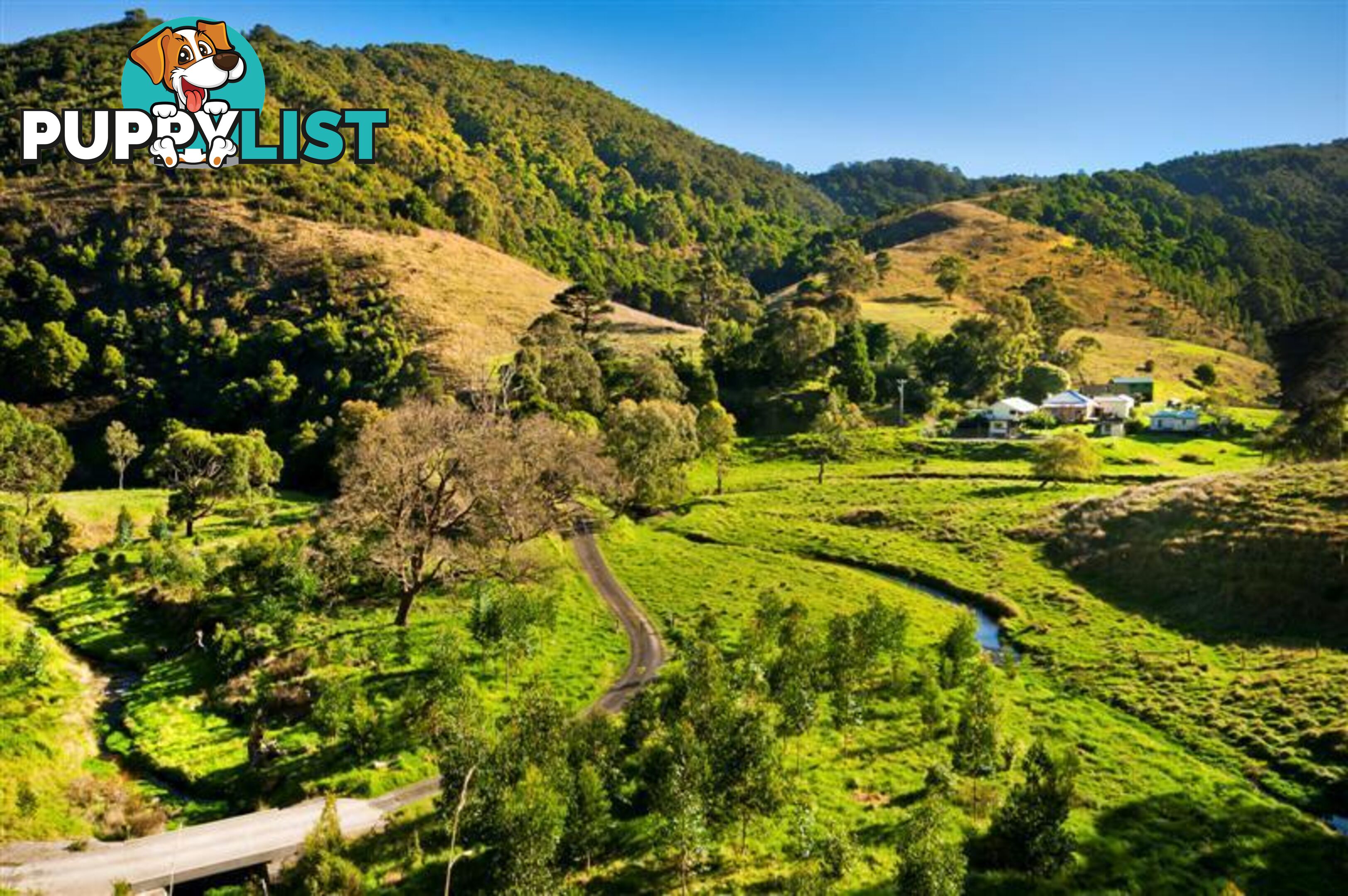 95 Wild Dog Road APOLLO BAY VIC 3233