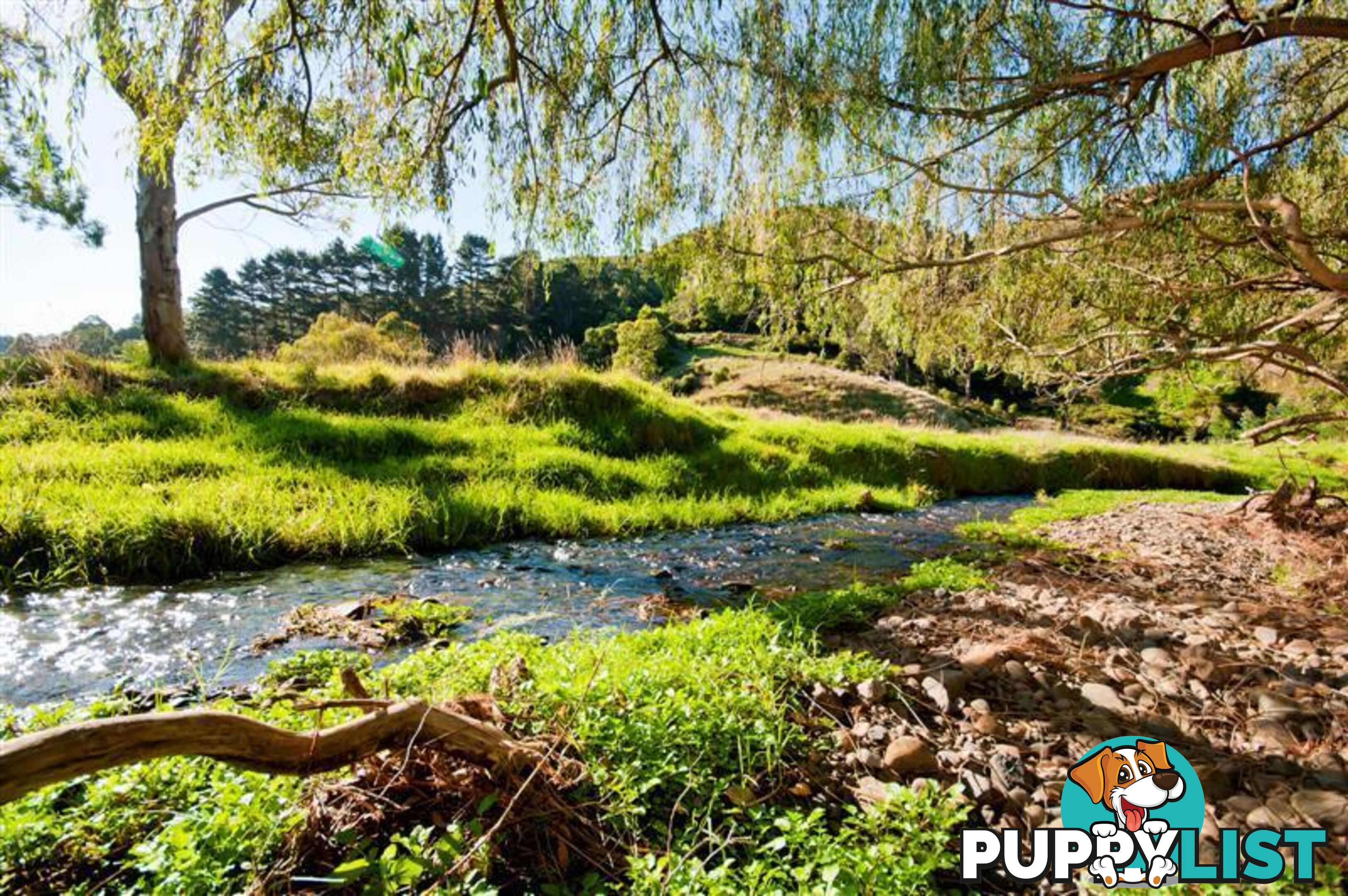 95 Wild Dog Road APOLLO BAY VIC 3233