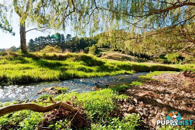 95 Wild Dog Road APOLLO BAY VIC 3233