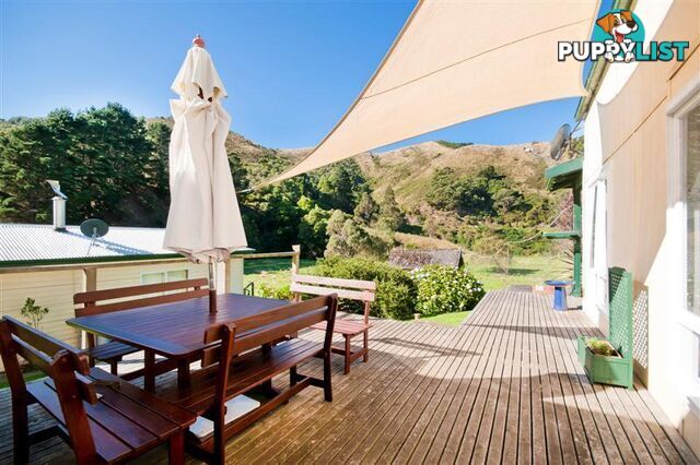 95 Wild Dog Road APOLLO BAY VIC 3233