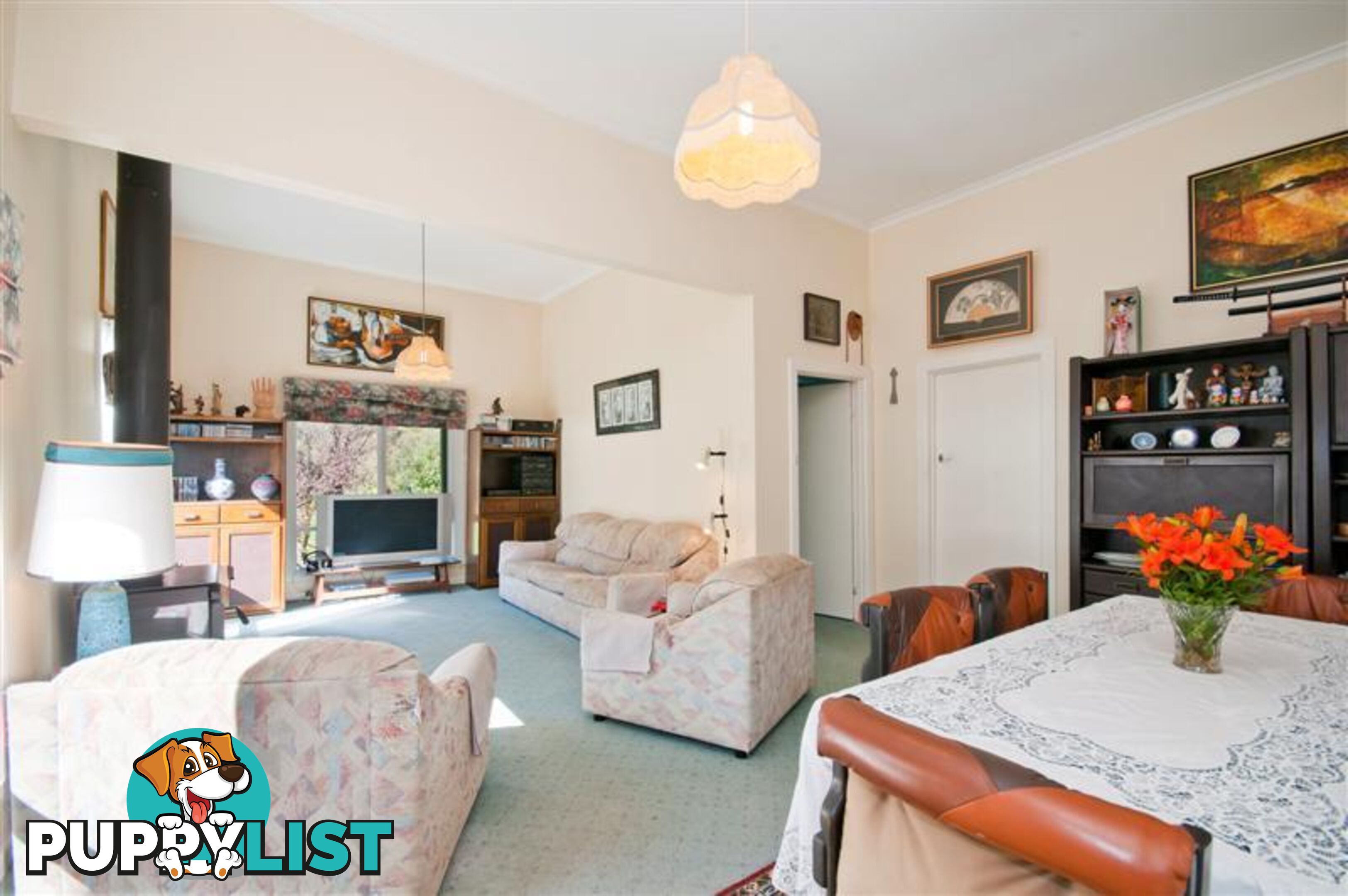 95 Wild Dog Road APOLLO BAY VIC 3233