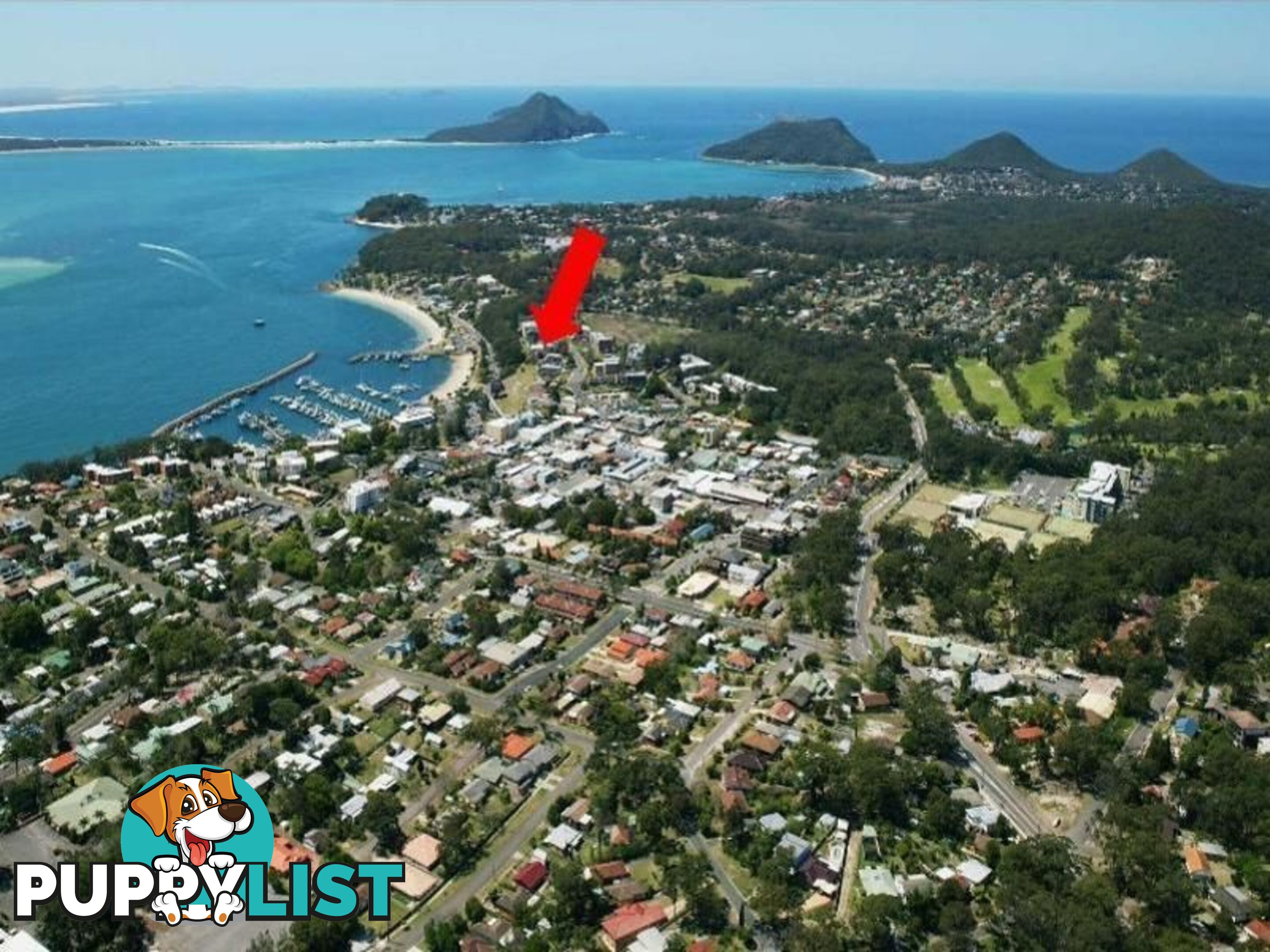 62-64 Magnus Street NELSON BAY NSW 2315