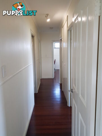 17 Reaney st BERSERKER QLD 4701
