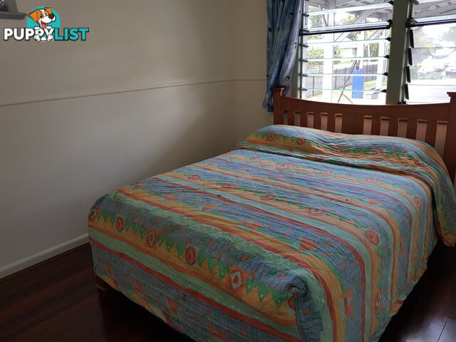 17 Reaney st BERSERKER QLD 4701