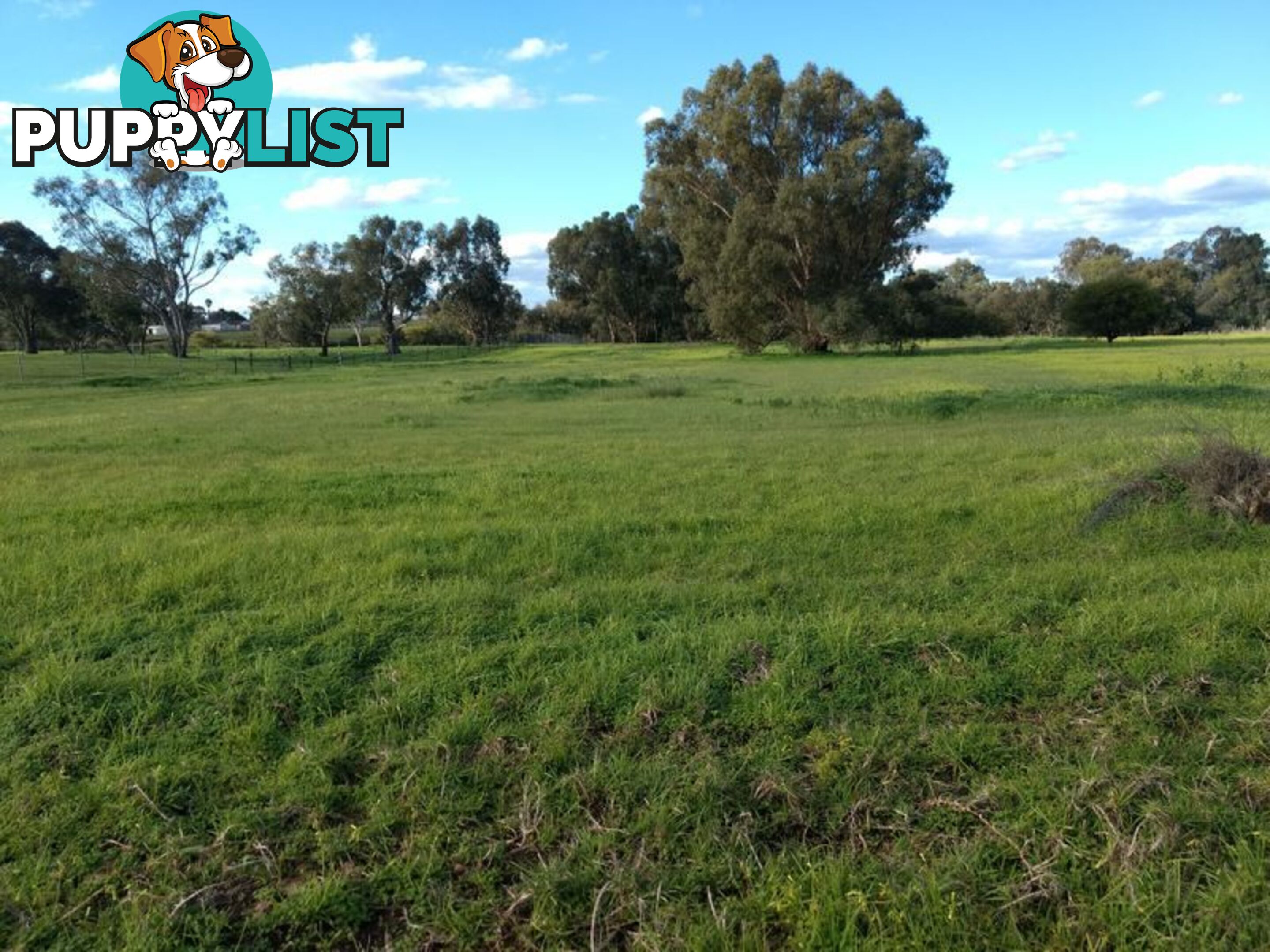 Lot 117 Swan St HENLEY BROOK WA 6055