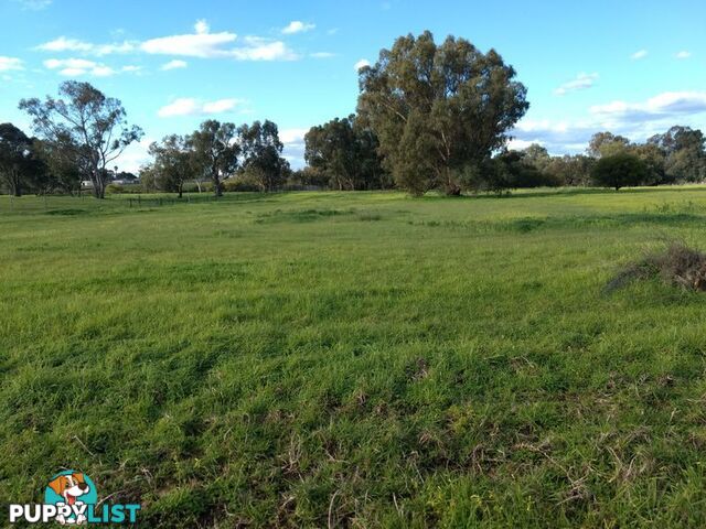 Lot 117 Swan St HENLEY BROOK WA 6055