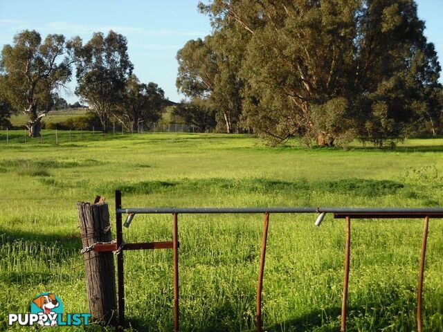Lot 117 Swan St HENLEY BROOK WA 6055