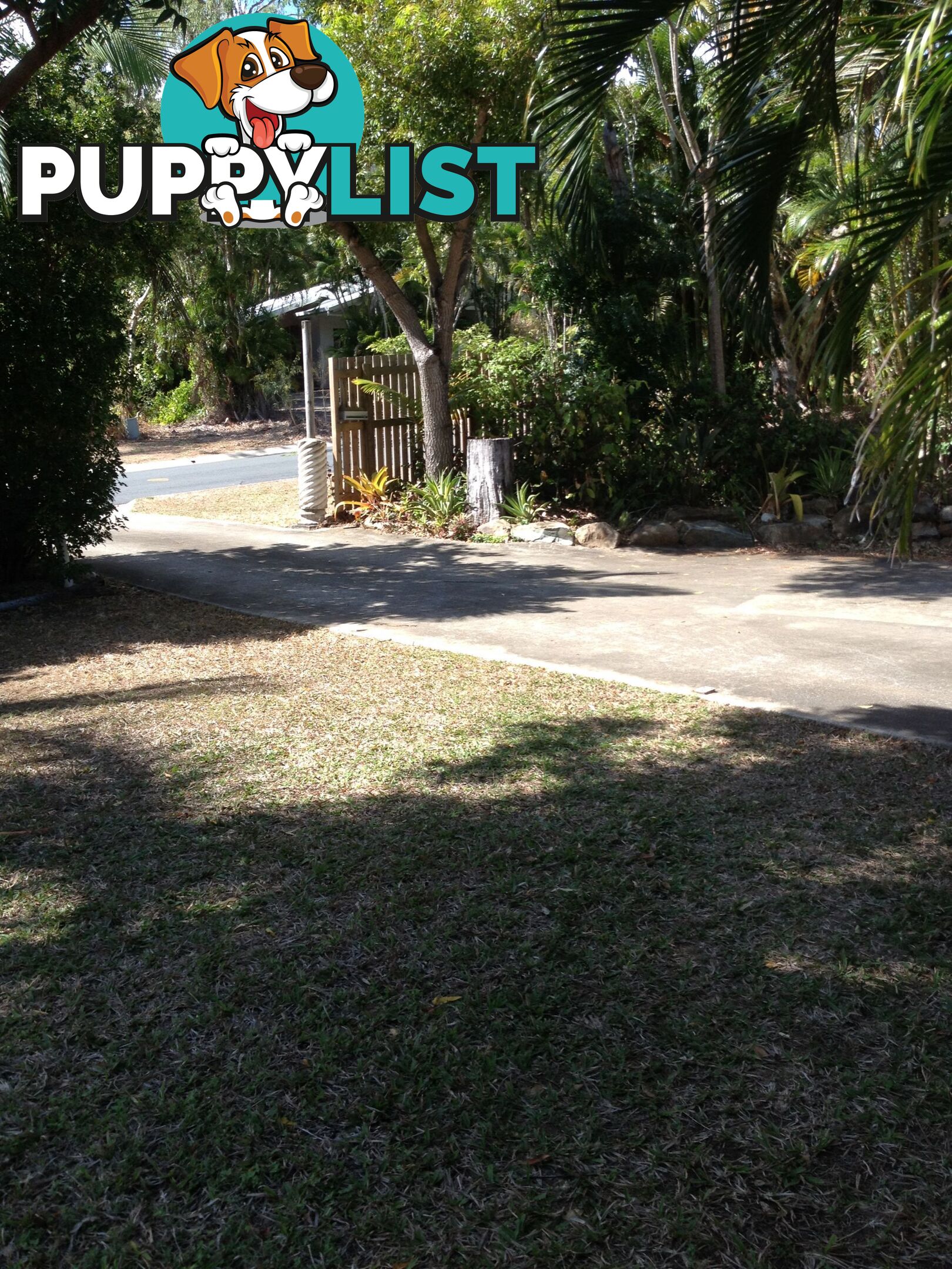 2 Cedar Crescent JUBILEE POCKET QLD 4802