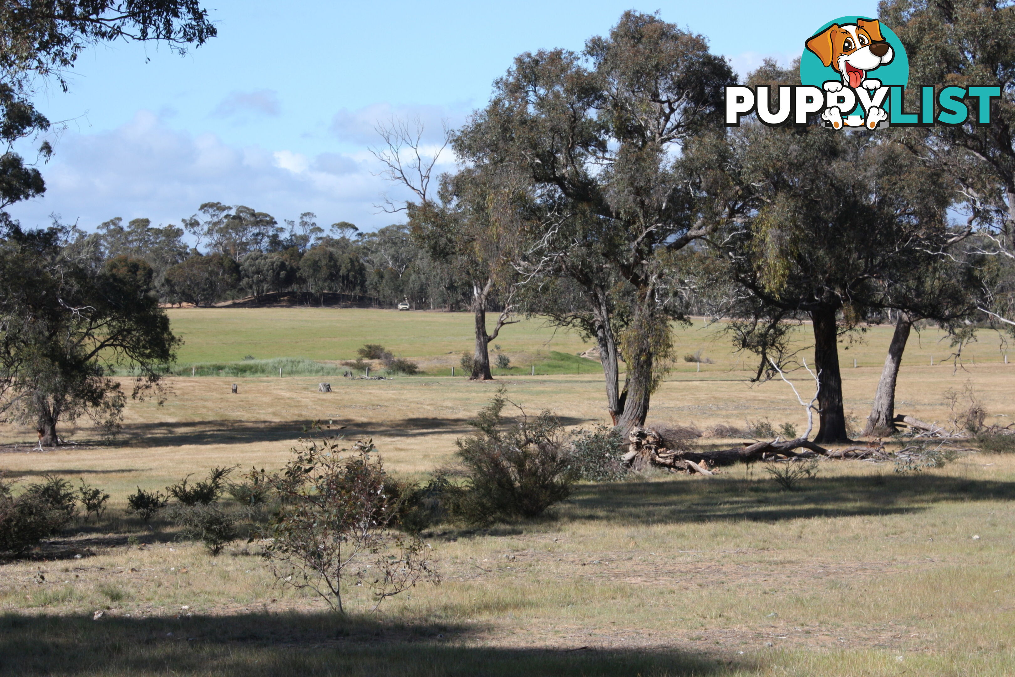 Lot 7 Sunraysia Highway LAMPLOUGH VIC 3352