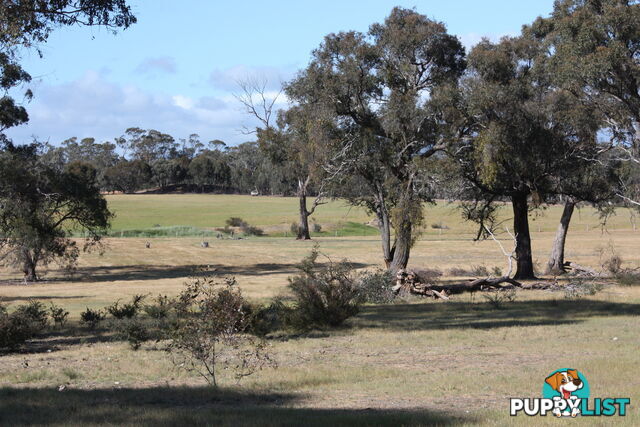 Lot 7 Sunraysia Highway LAMPLOUGH VIC 3352