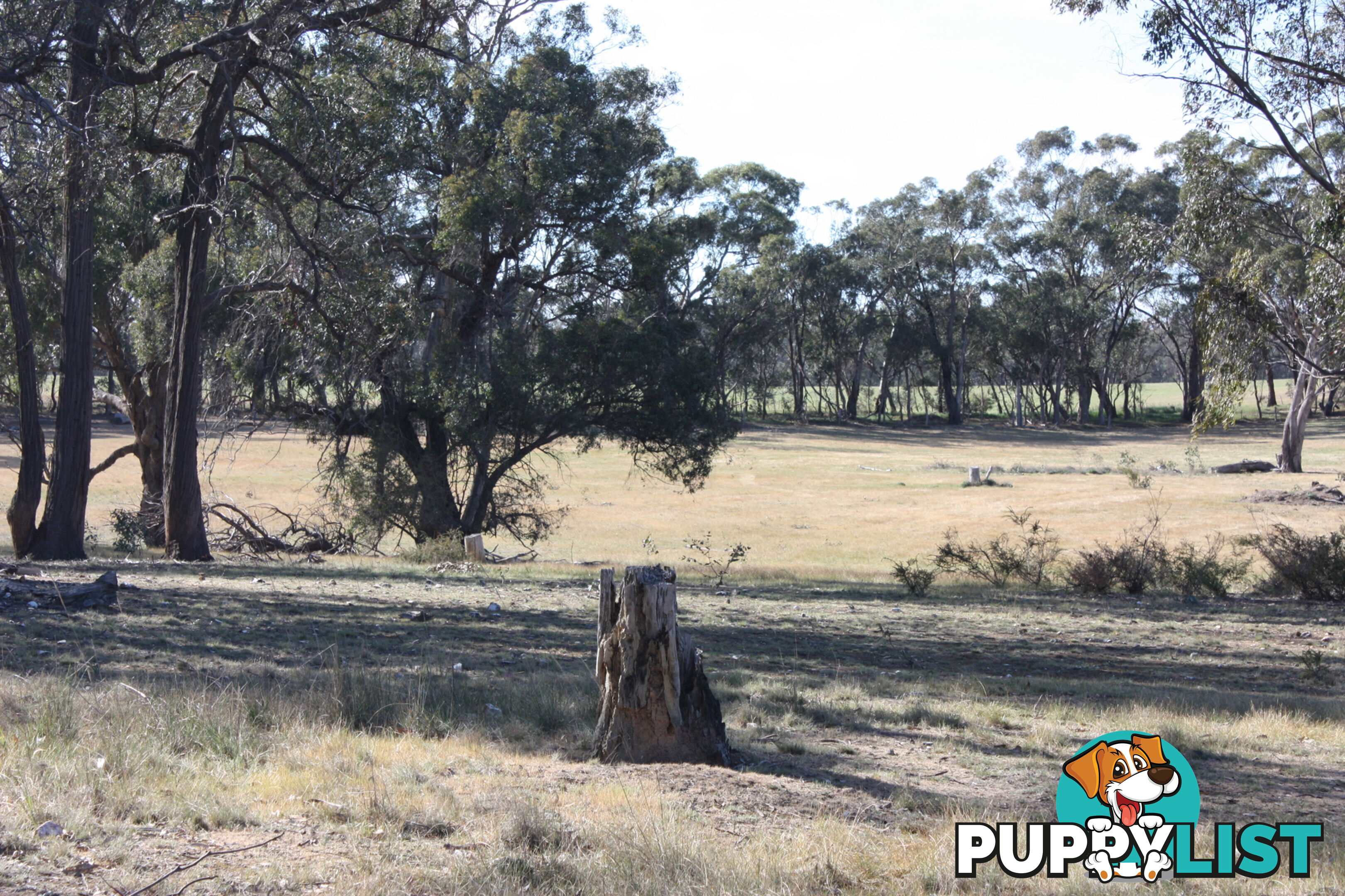 Lot 7 Sunraysia Highway LAMPLOUGH VIC 3352