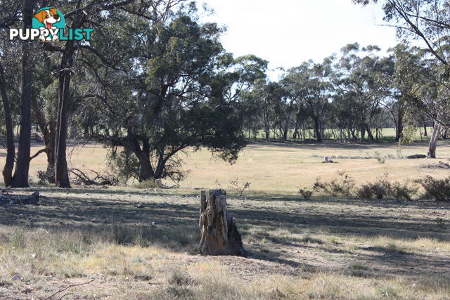 Lot 7 Sunraysia Highway LAMPLOUGH VIC 3352