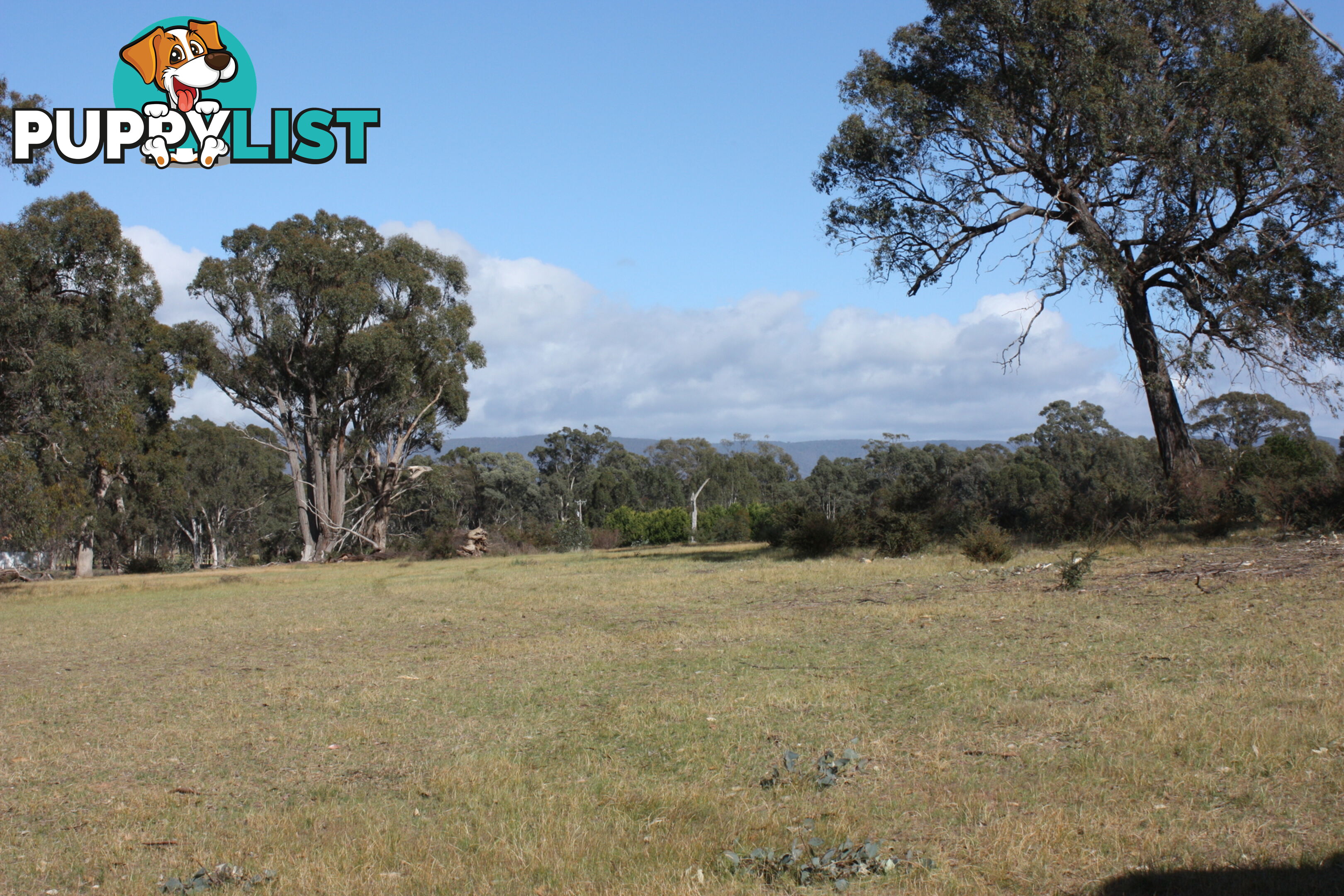 Lot 7 Sunraysia Highway LAMPLOUGH VIC 3352