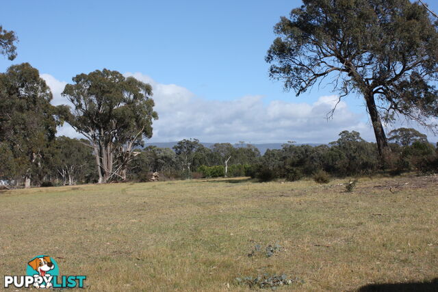 Lot 7 Sunraysia Highway LAMPLOUGH VIC 3352