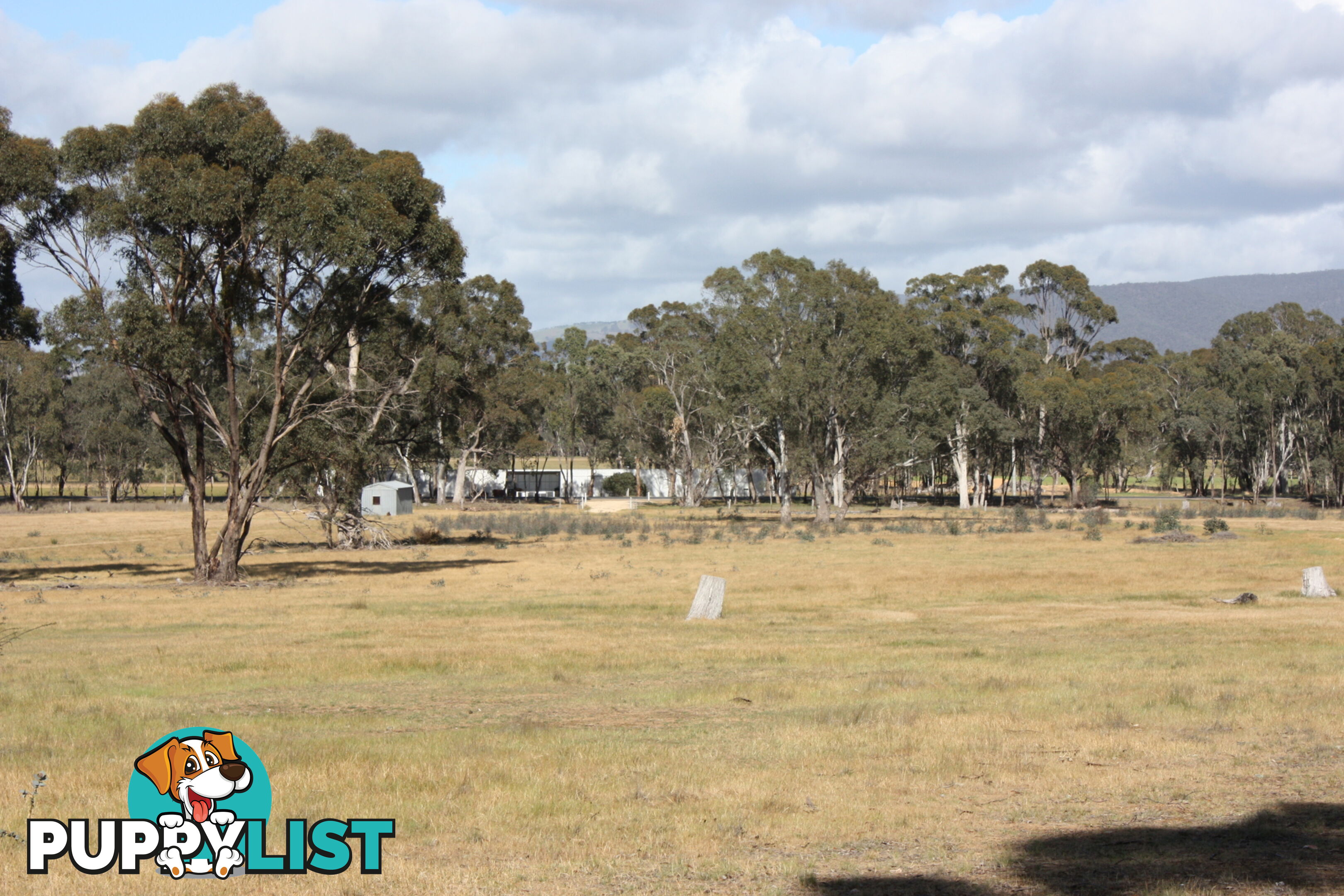 Lot 7 Sunraysia Highway LAMPLOUGH VIC 3352