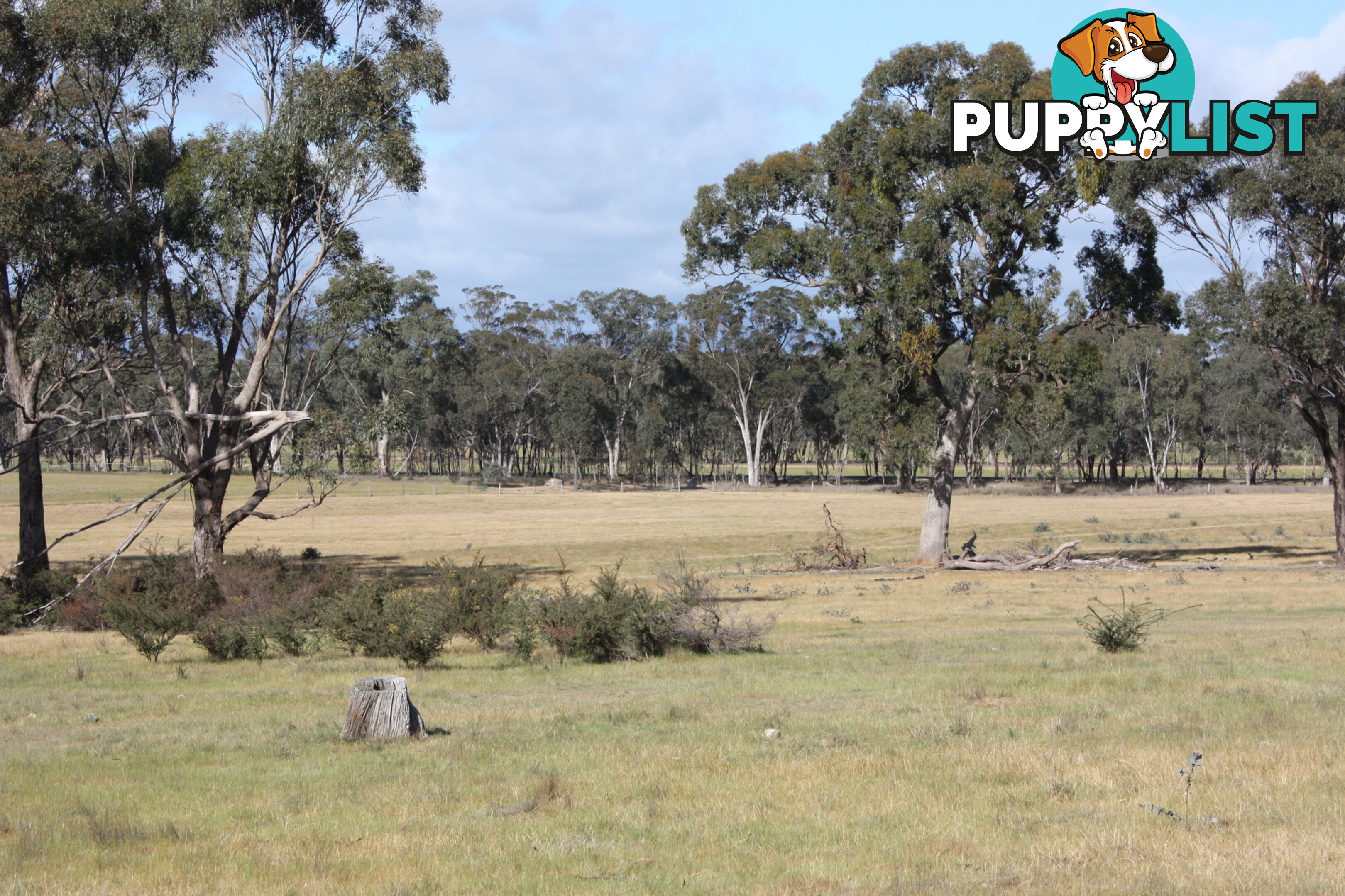 Lot 7 Sunraysia Highway LAMPLOUGH VIC 3352