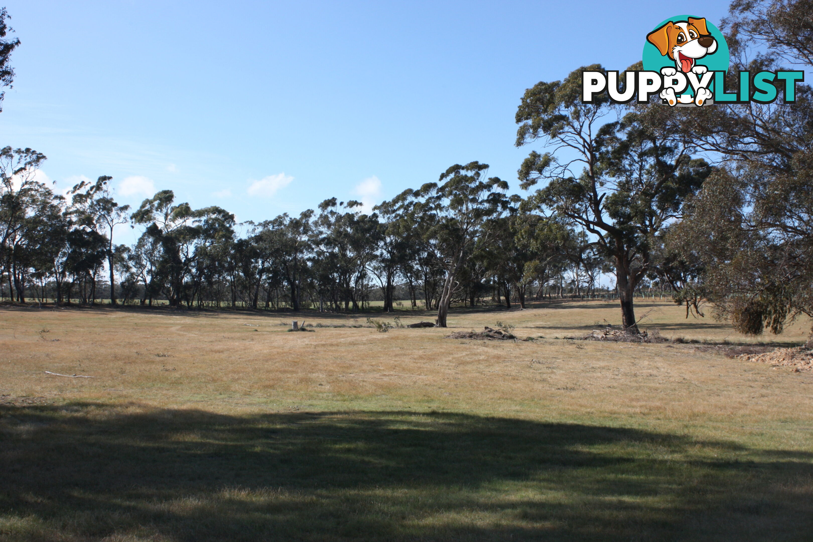 Lot 7 Sunraysia Highway LAMPLOUGH VIC 3352