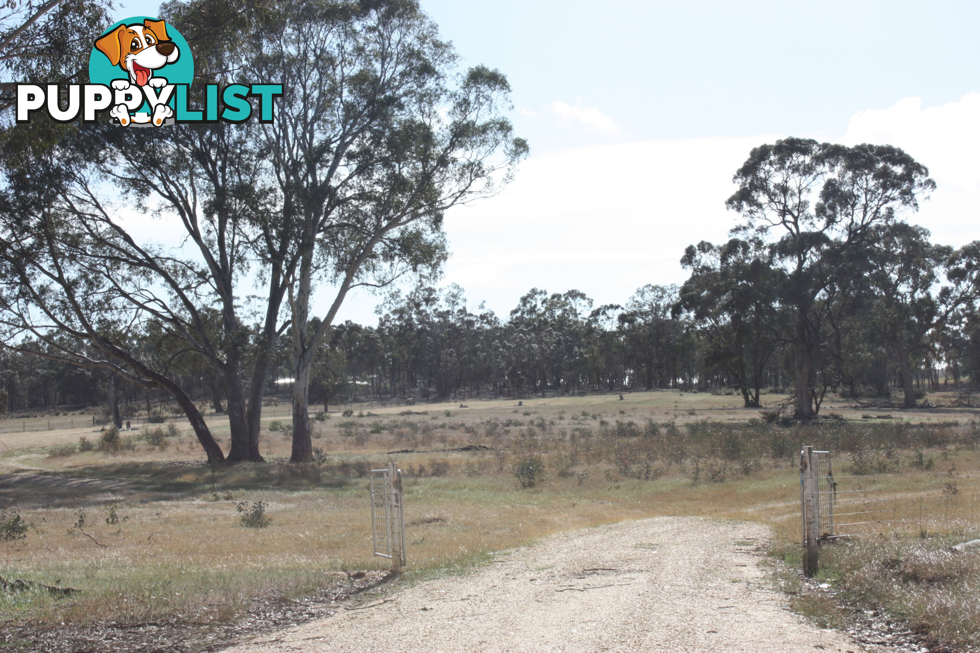 Lot 7 Sunraysia Highway LAMPLOUGH VIC 3352