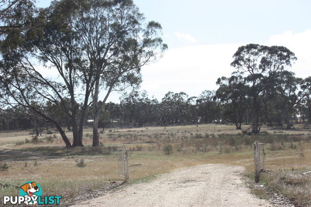 Lot 7 Sunraysia Highway LAMPLOUGH VIC 3352