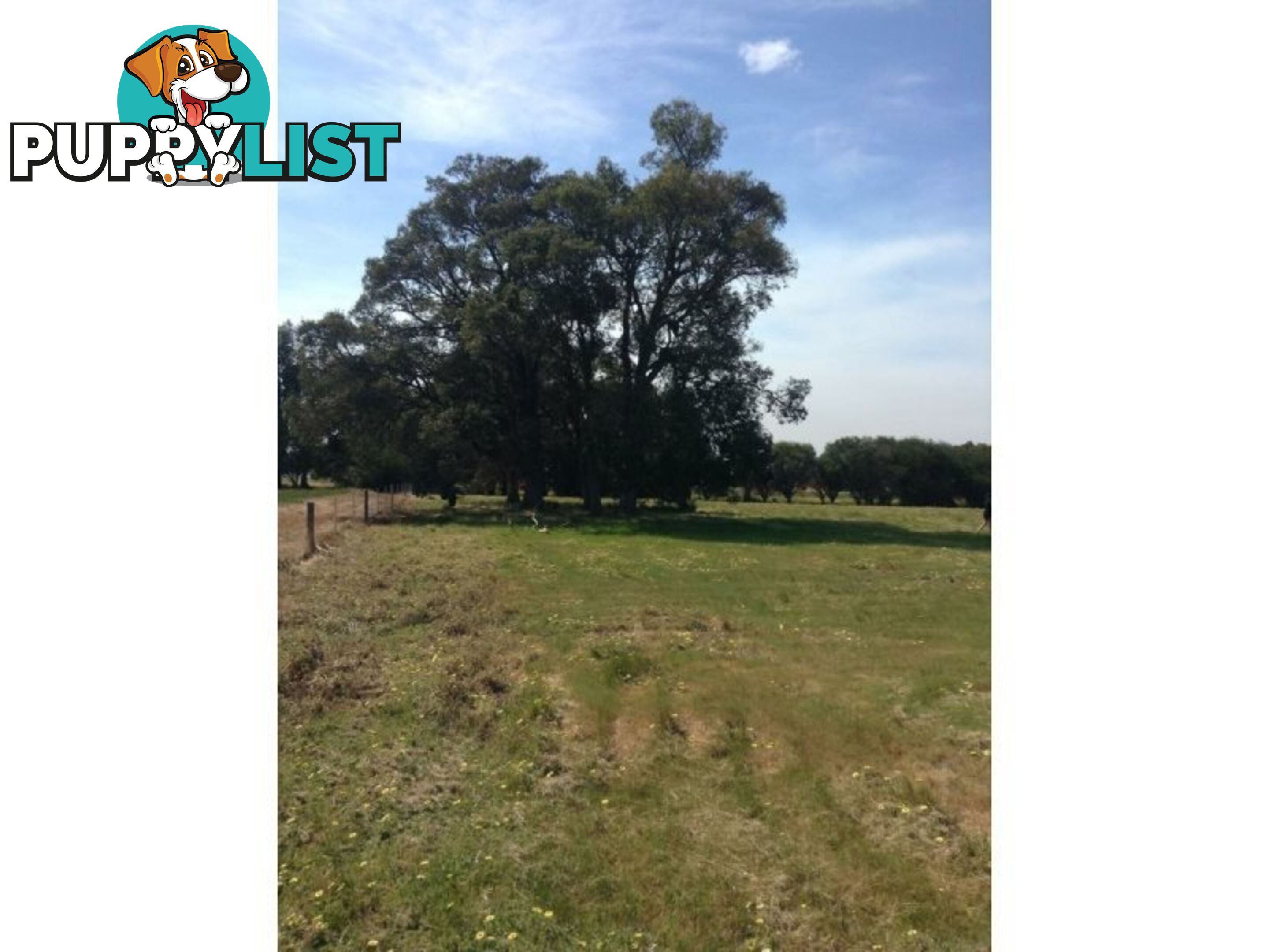 Lot No 62 Gilbert Road NORTH DANDALUP WA 6207