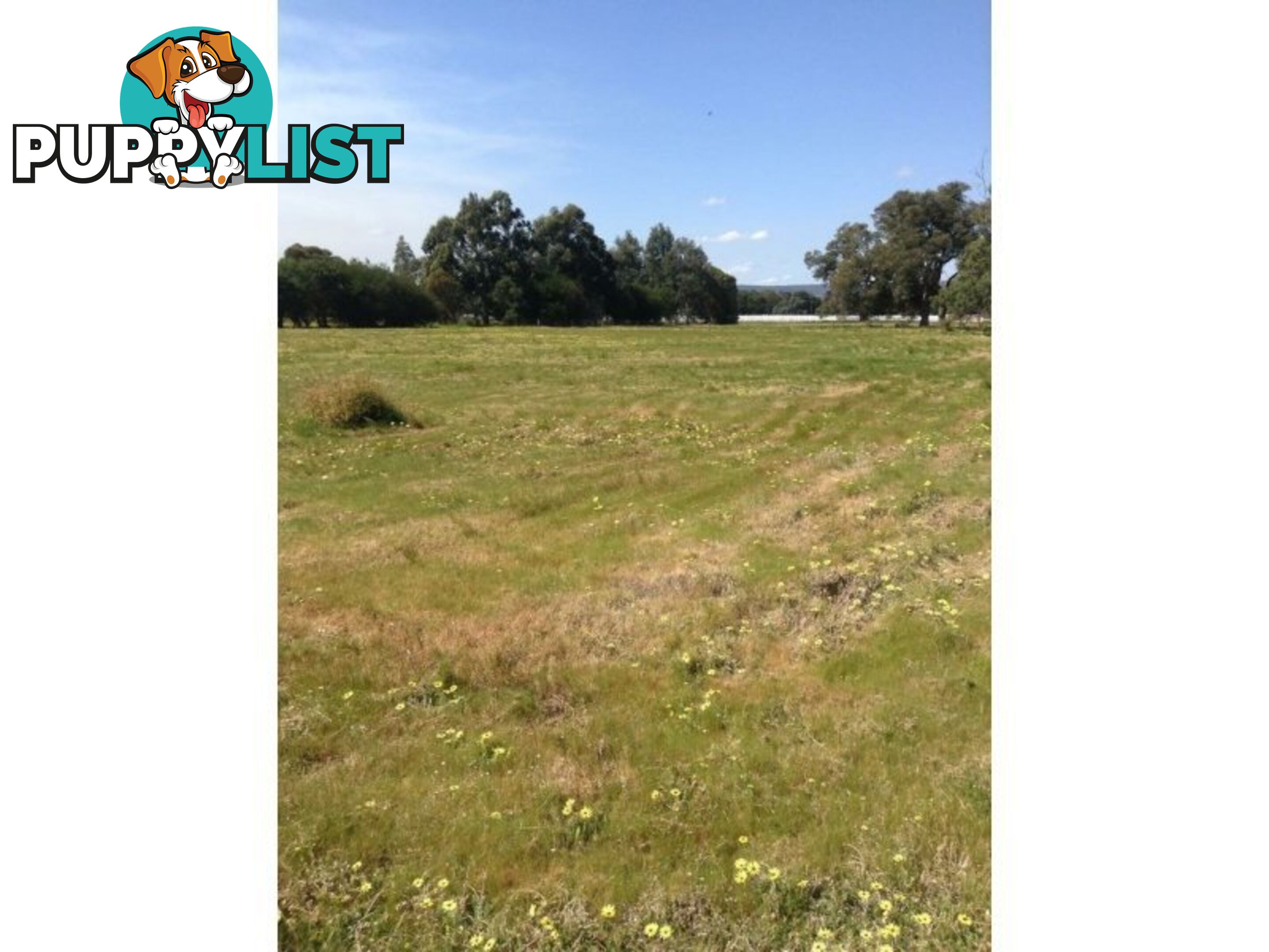 Lot No 62 Gilbert Road NORTH DANDALUP WA 6207