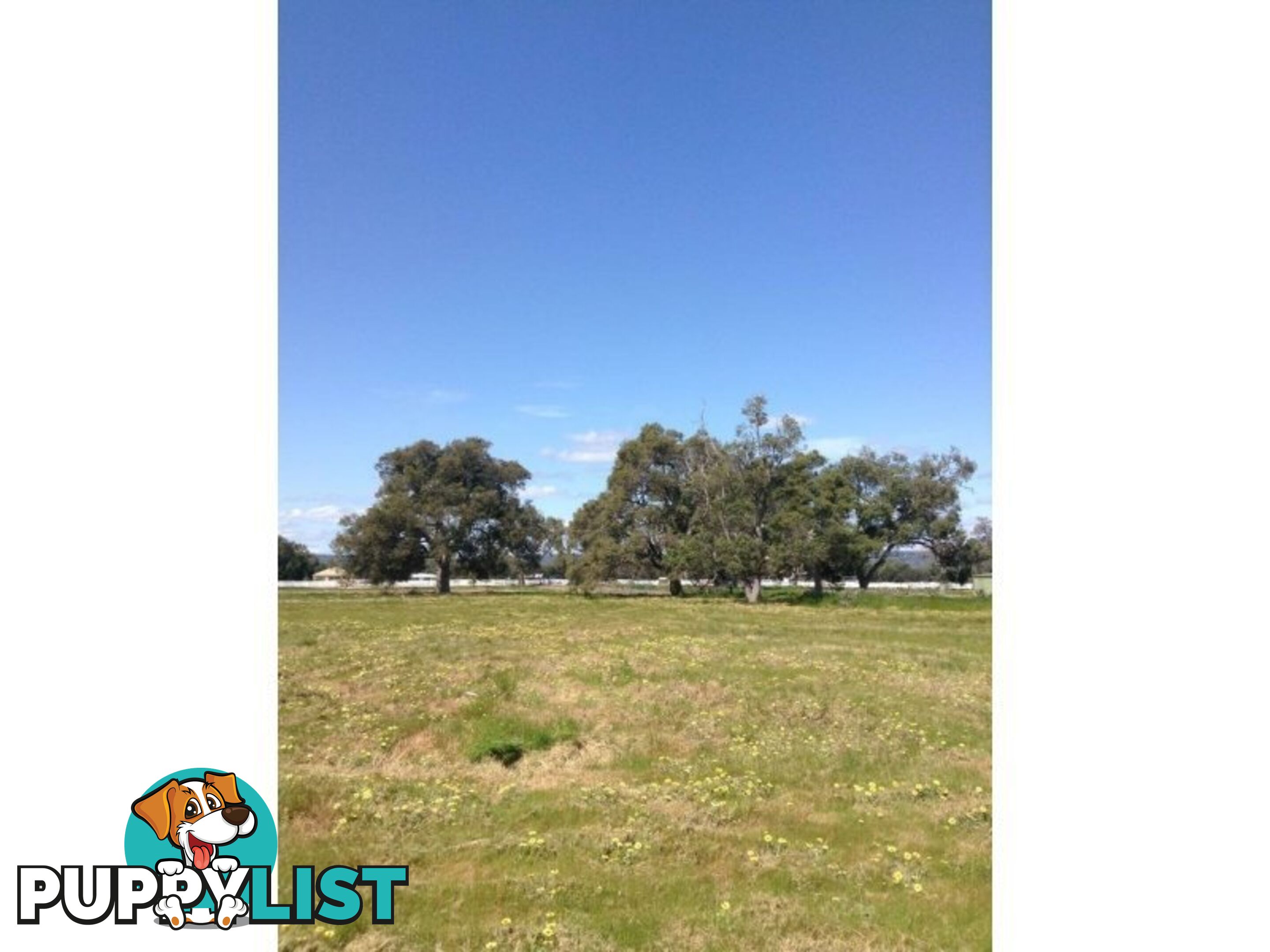 Lot No 62 Gilbert Road NORTH DANDALUP WA 6207