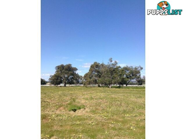 Lot No 62 Gilbert Road NORTH DANDALUP WA 6207