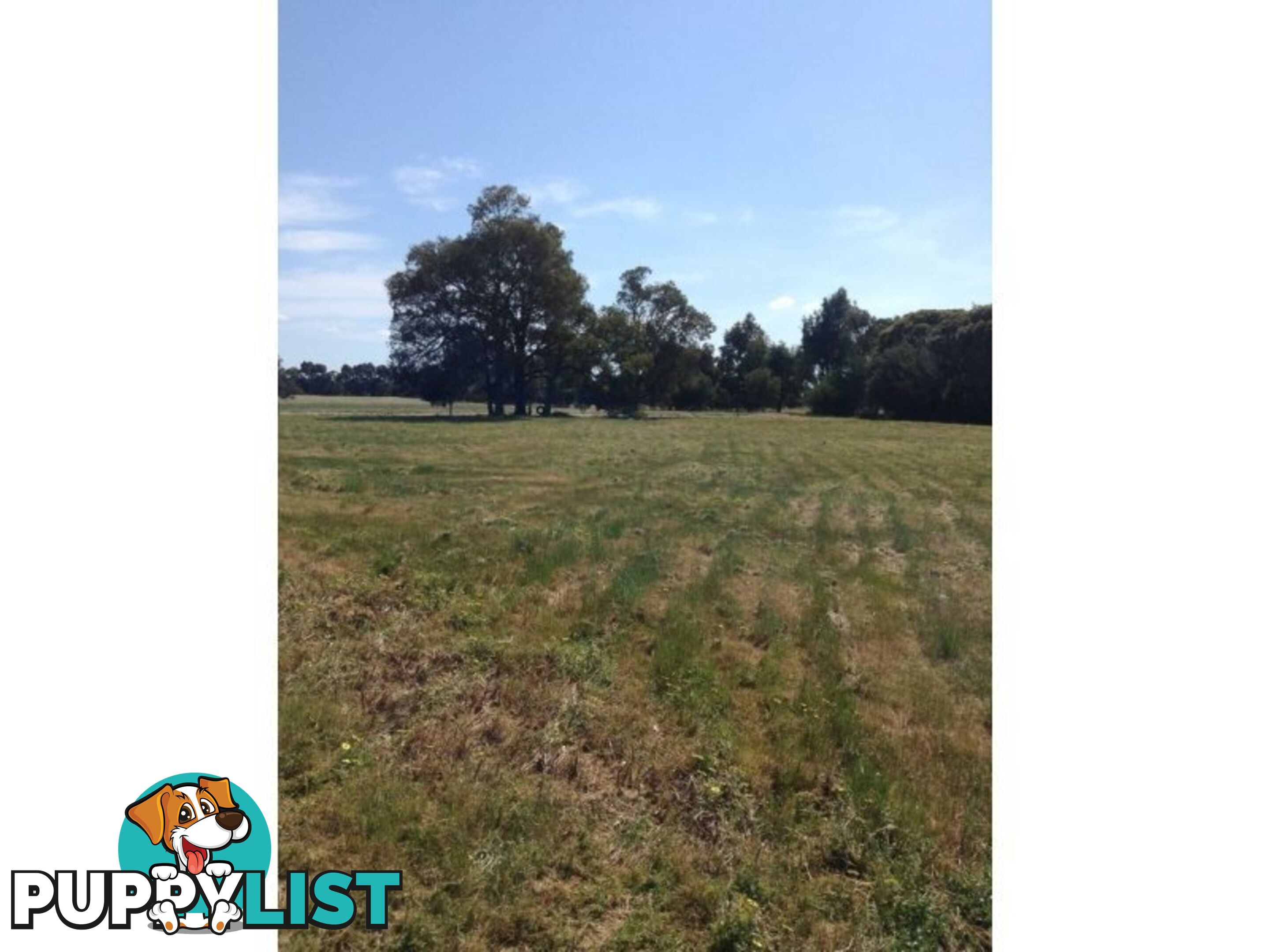 Lot No 62 Gilbert Road NORTH DANDALUP WA 6207