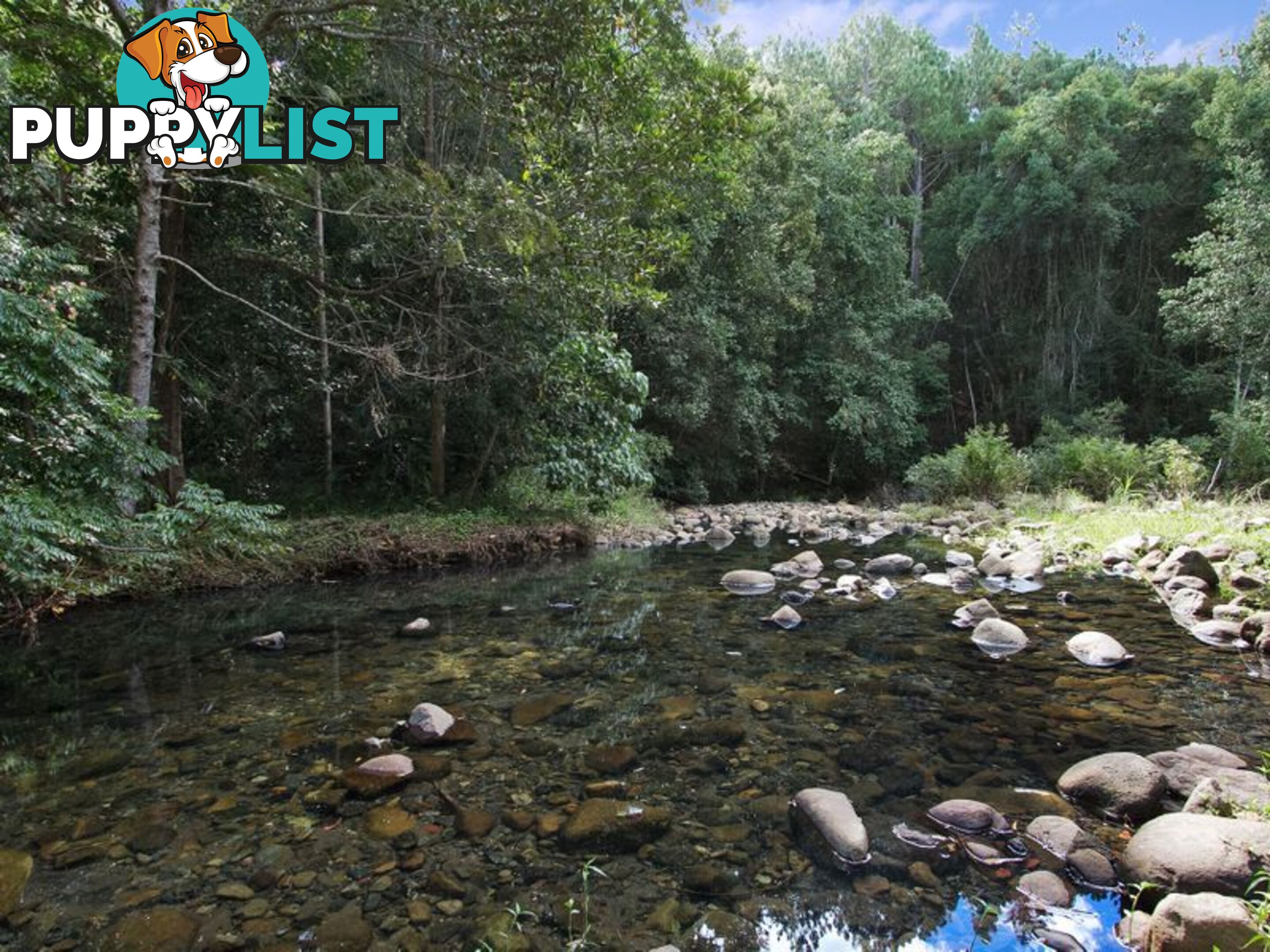 134 Mt Warning Rd UKI NSW 2484