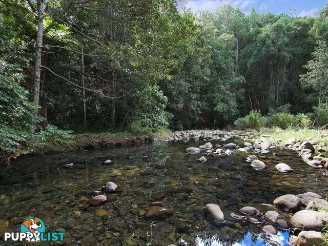 134 Mt Warning Rd UKI NSW 2484