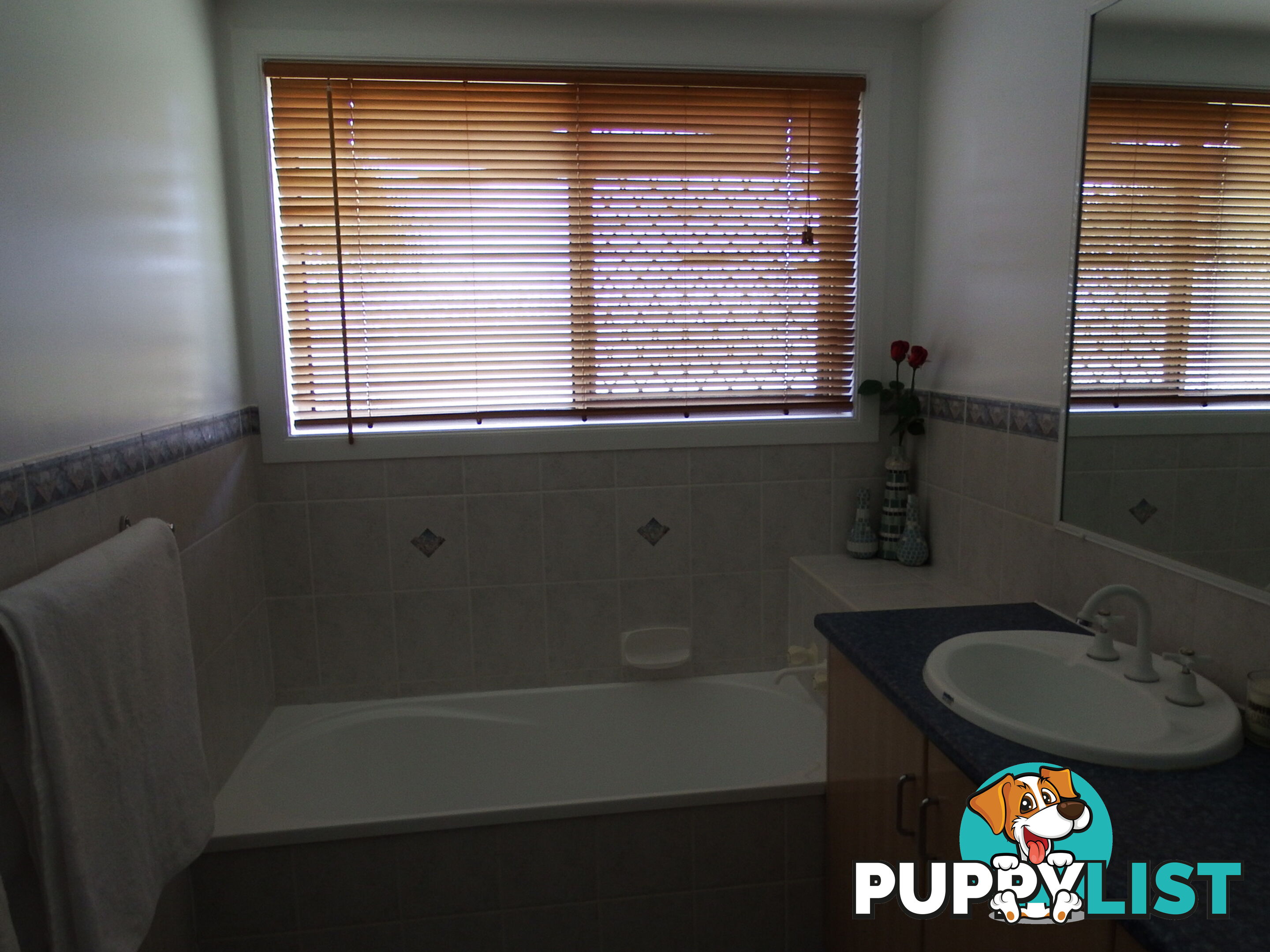 231 Washpool Rd WARWICK QLD 4370