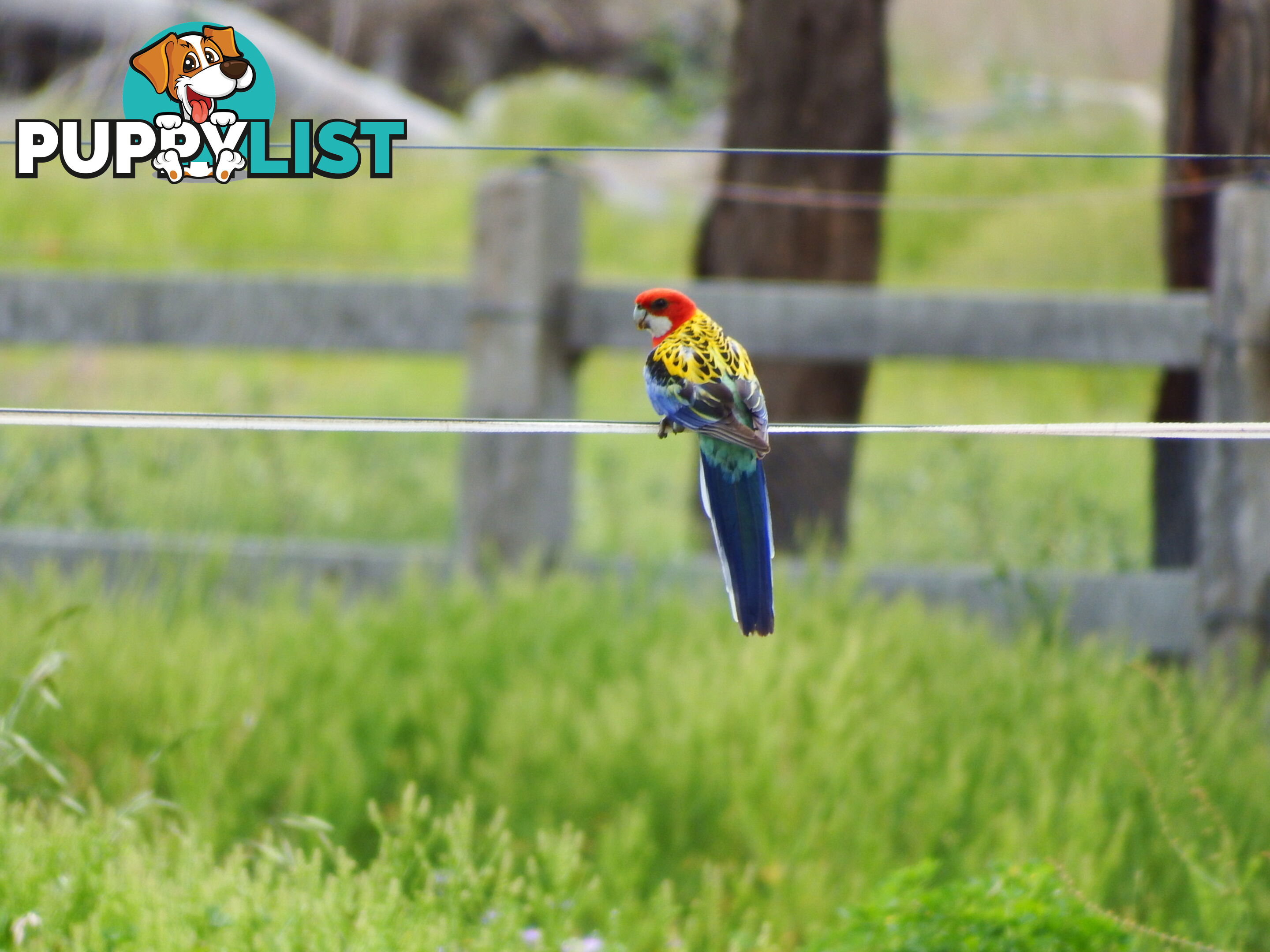 231 Washpool Rd WARWICK QLD 4370