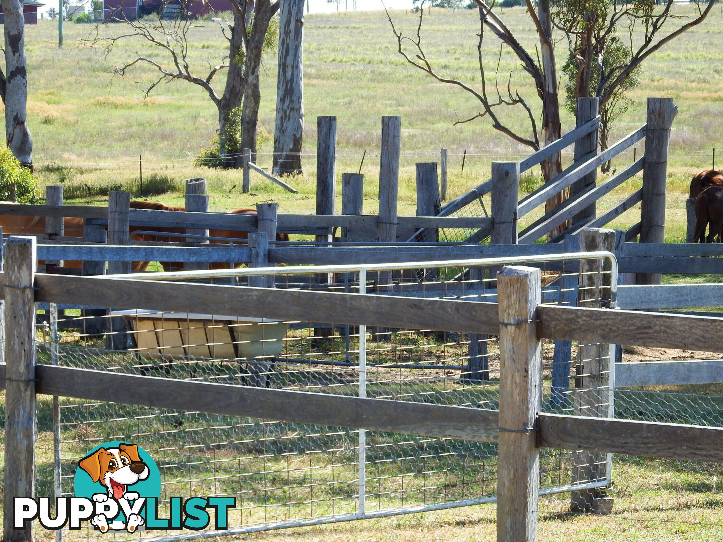 231 Washpool Rd WARWICK QLD 4370