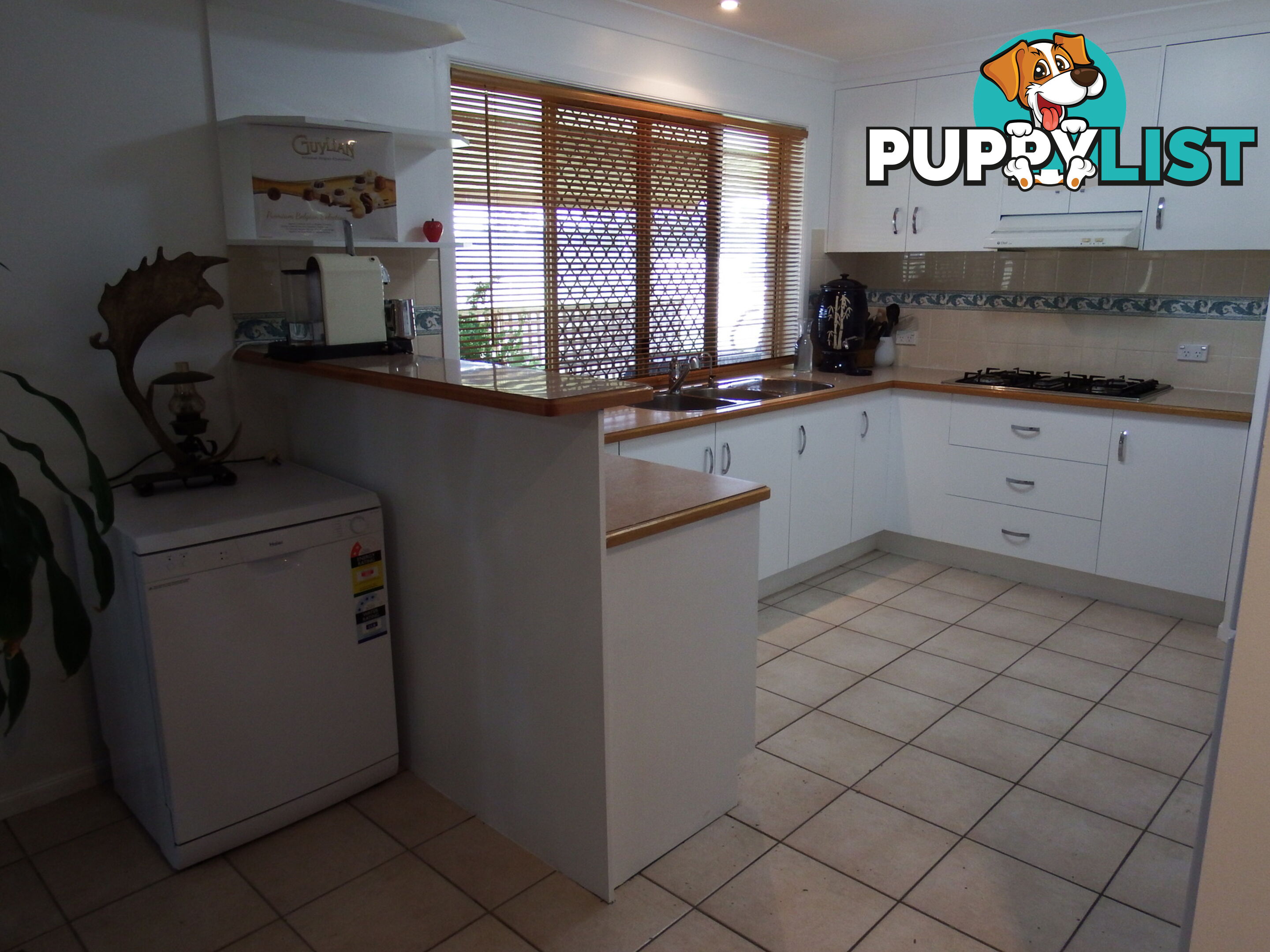 231 Washpool Rd WARWICK QLD 4370