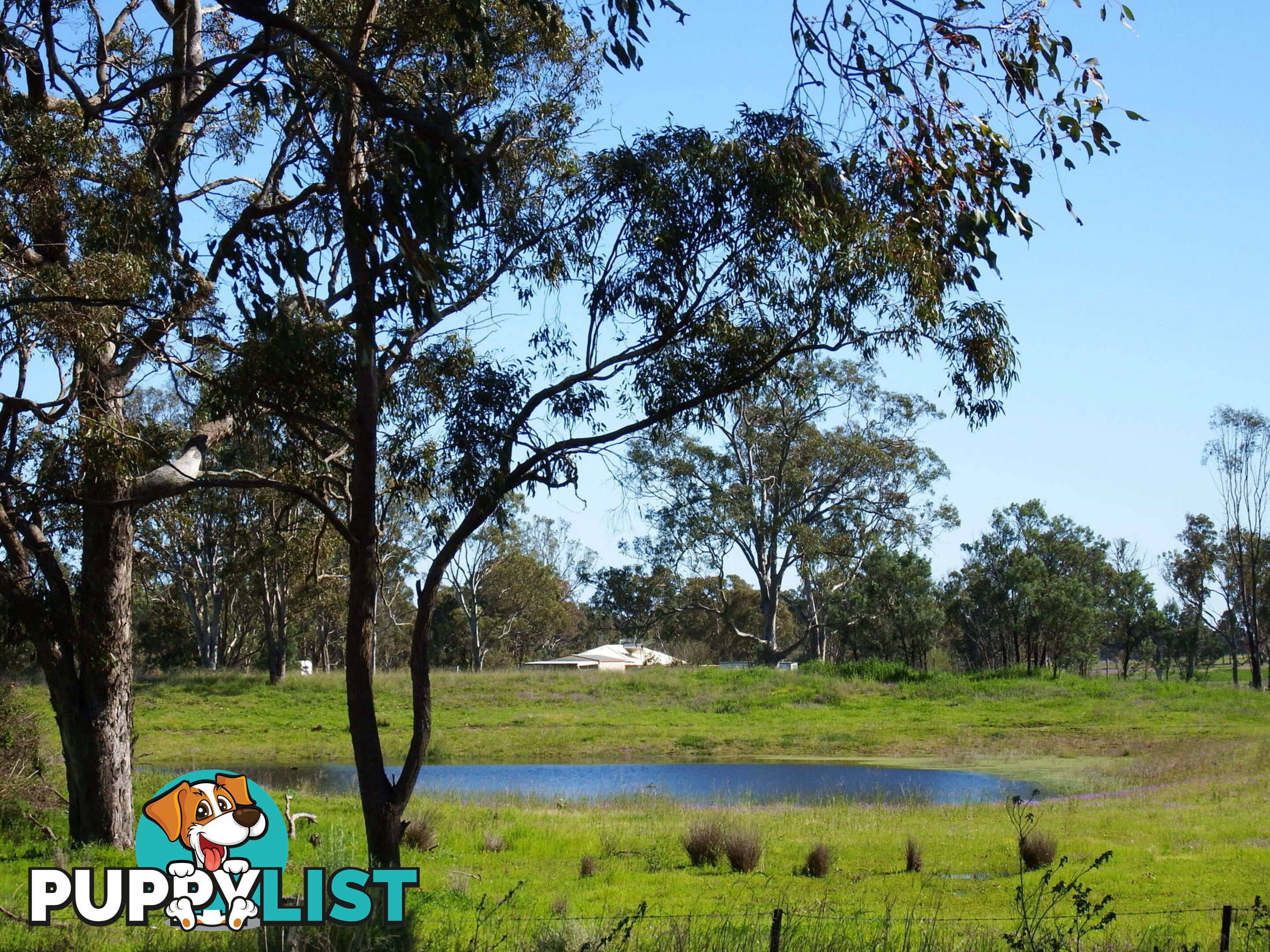 231 Washpool Rd WARWICK QLD 4370